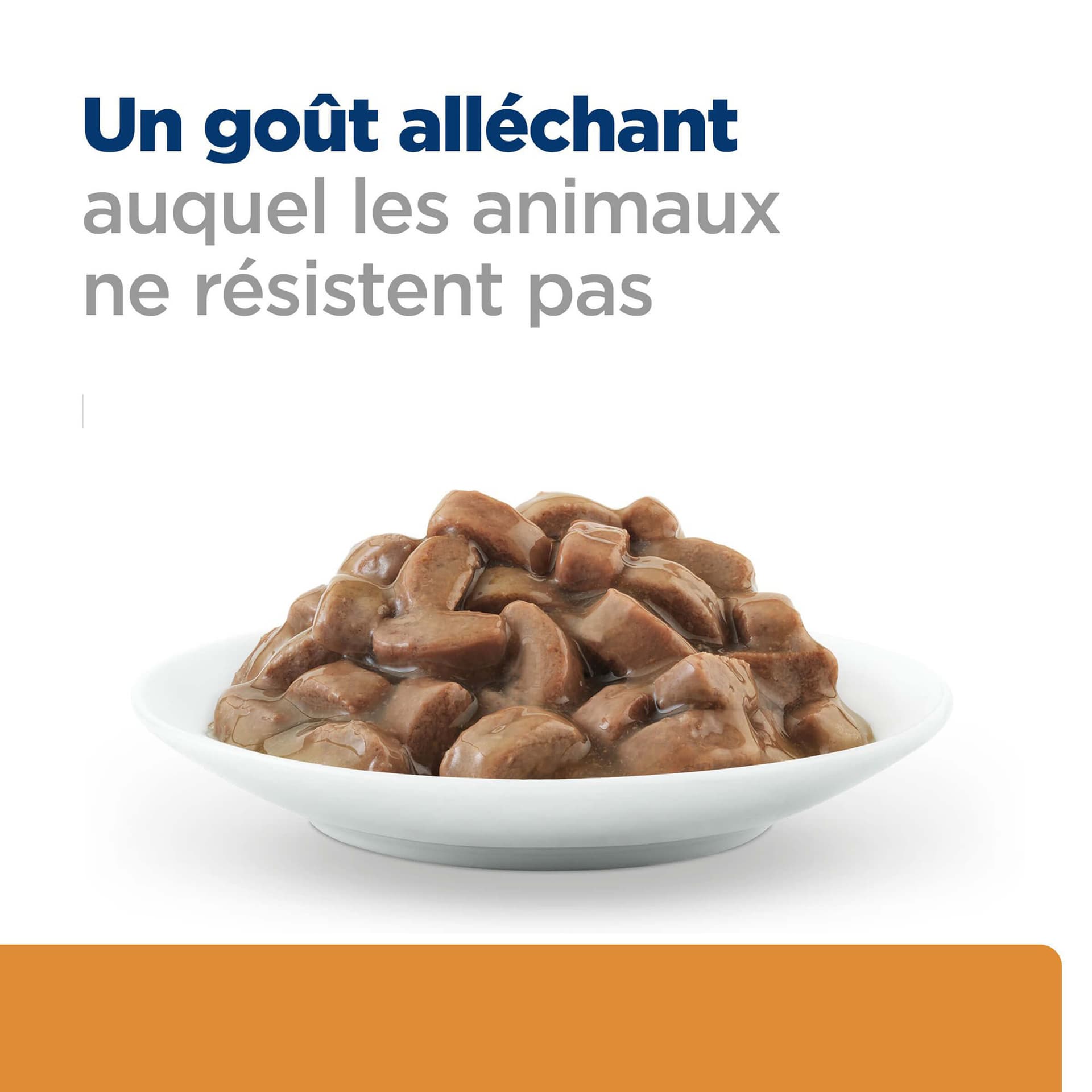Katze Prescription Diet k/d Renal Health Lachs