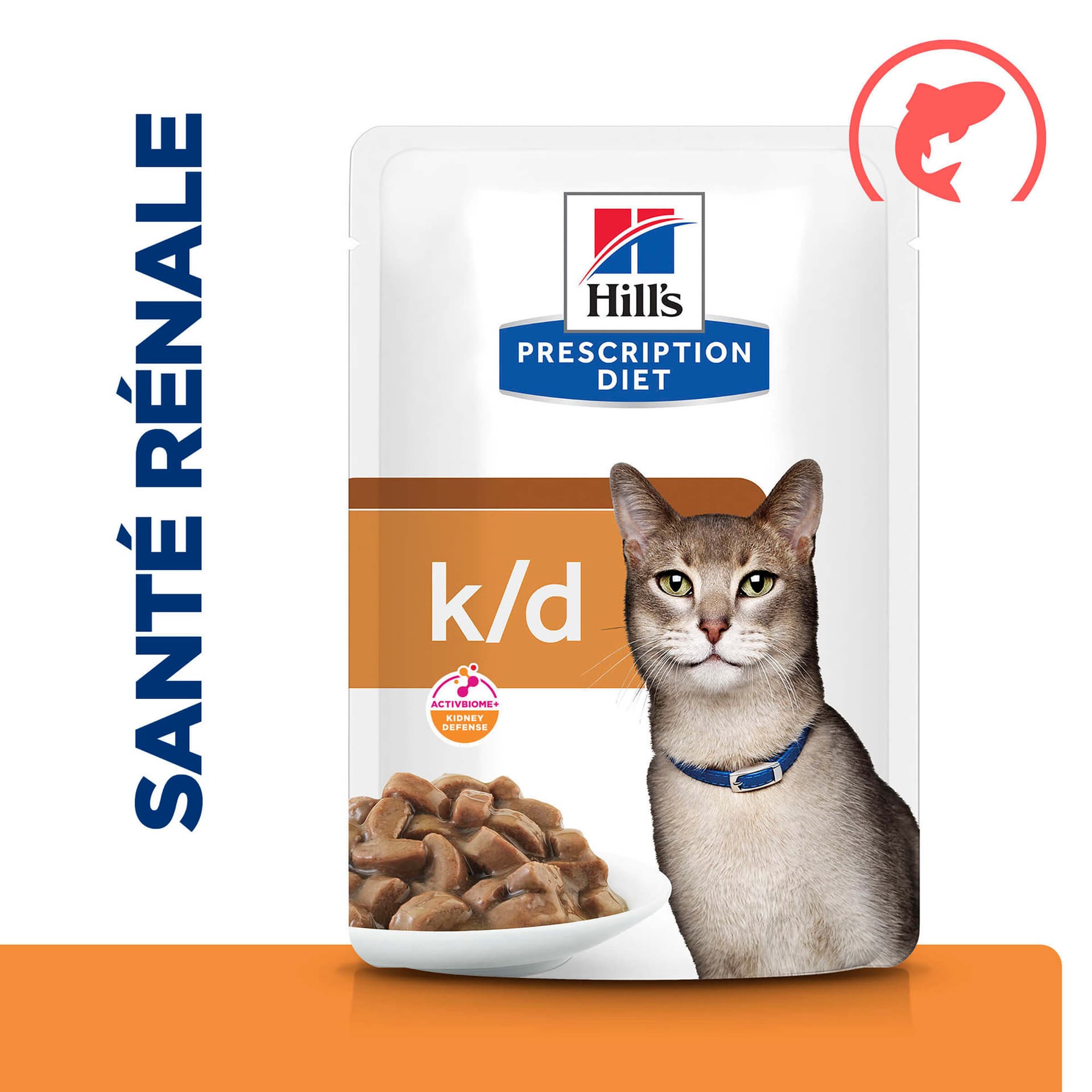 Katze Prescription Diet k/d Renal Health Lachs