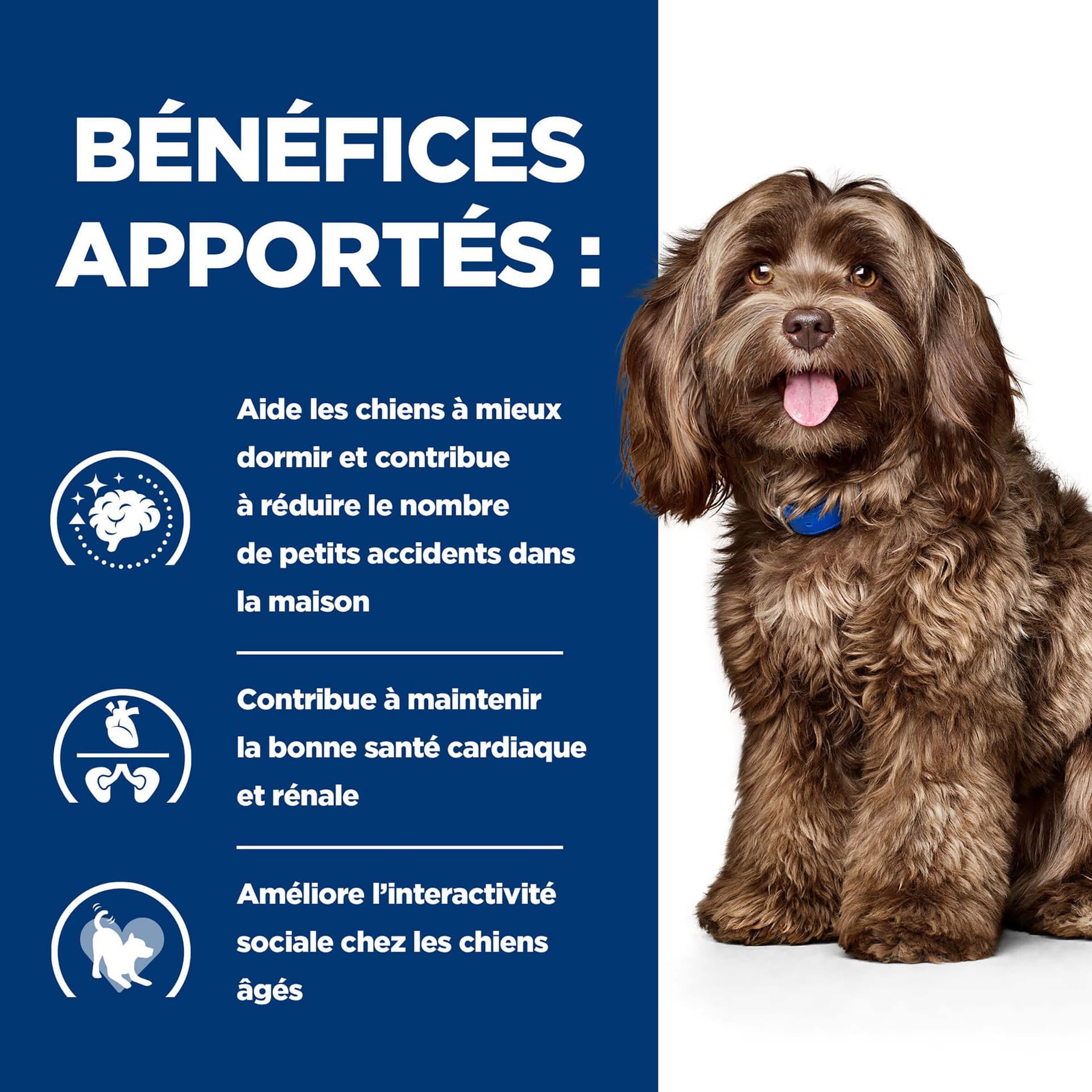 Hundfutter Prescription Diet b/d mit Huhn