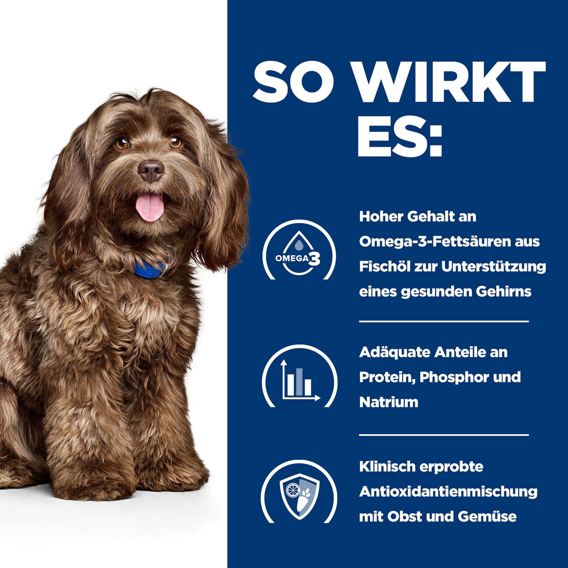 Hundfutter Prescription Diet b/d mit Huhn