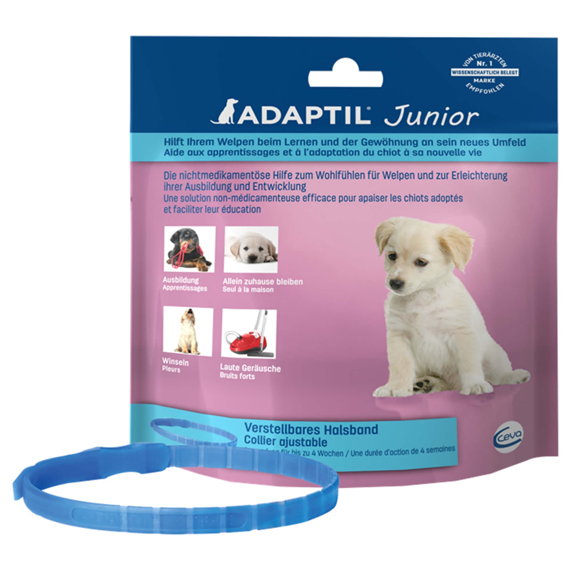 Halsband Junior, verstellbar