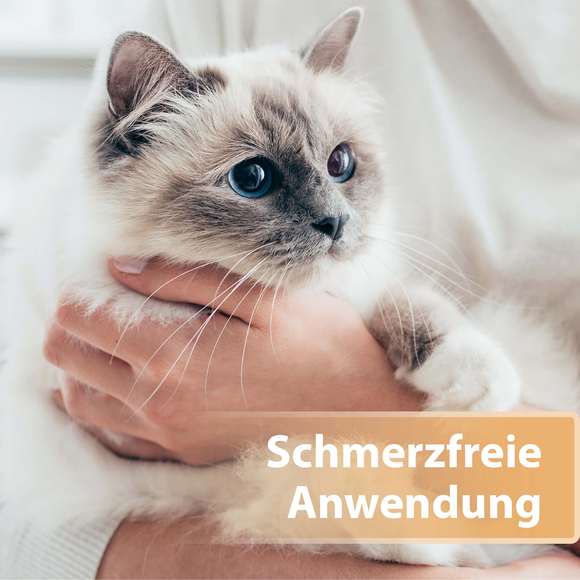 Wundspray für Katzen