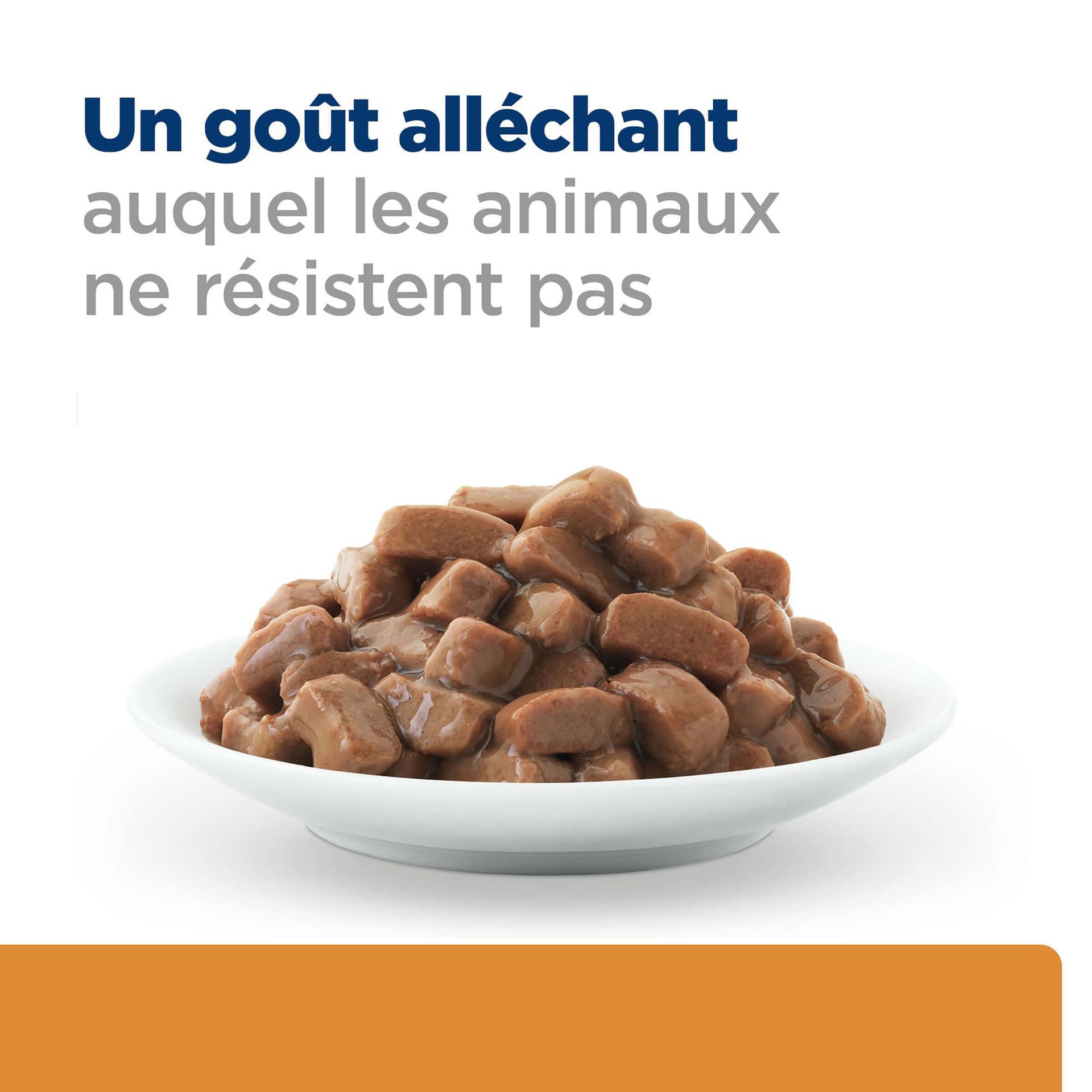 Katze Prescription Diet k/d Renal Health Rind
