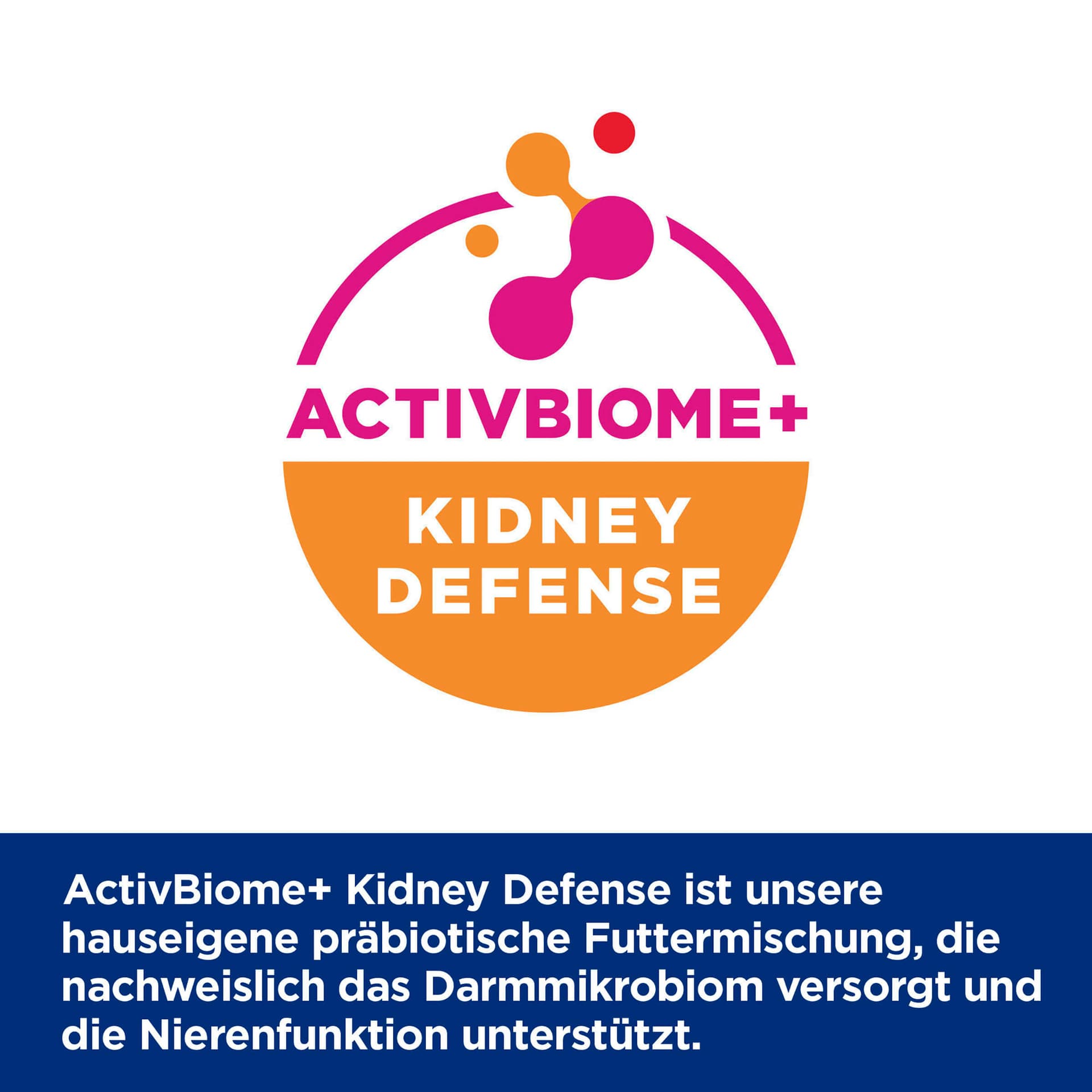 Katze Prescription Diet k/d Renal Health Rind