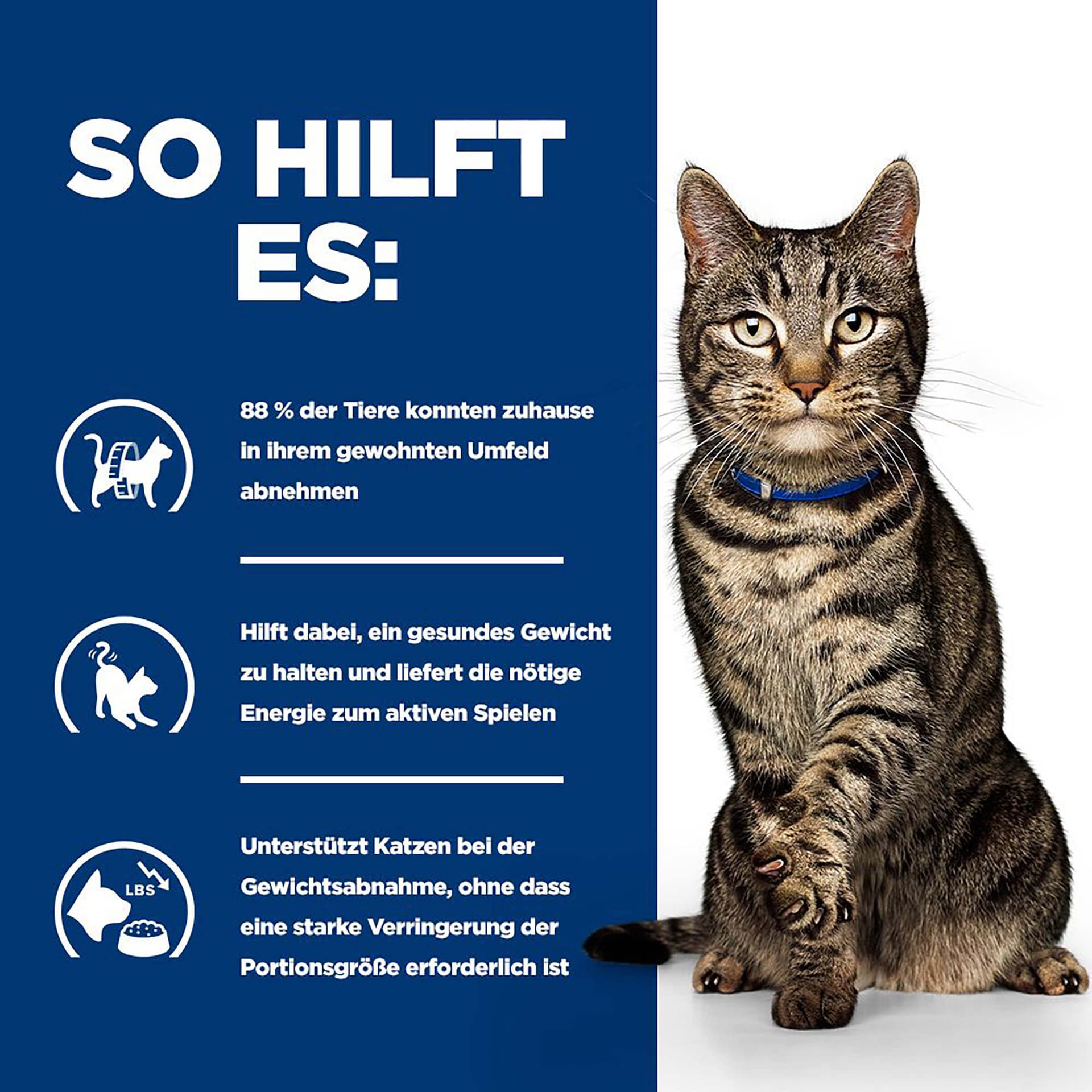 Katze PD Metabolic mit Lachs