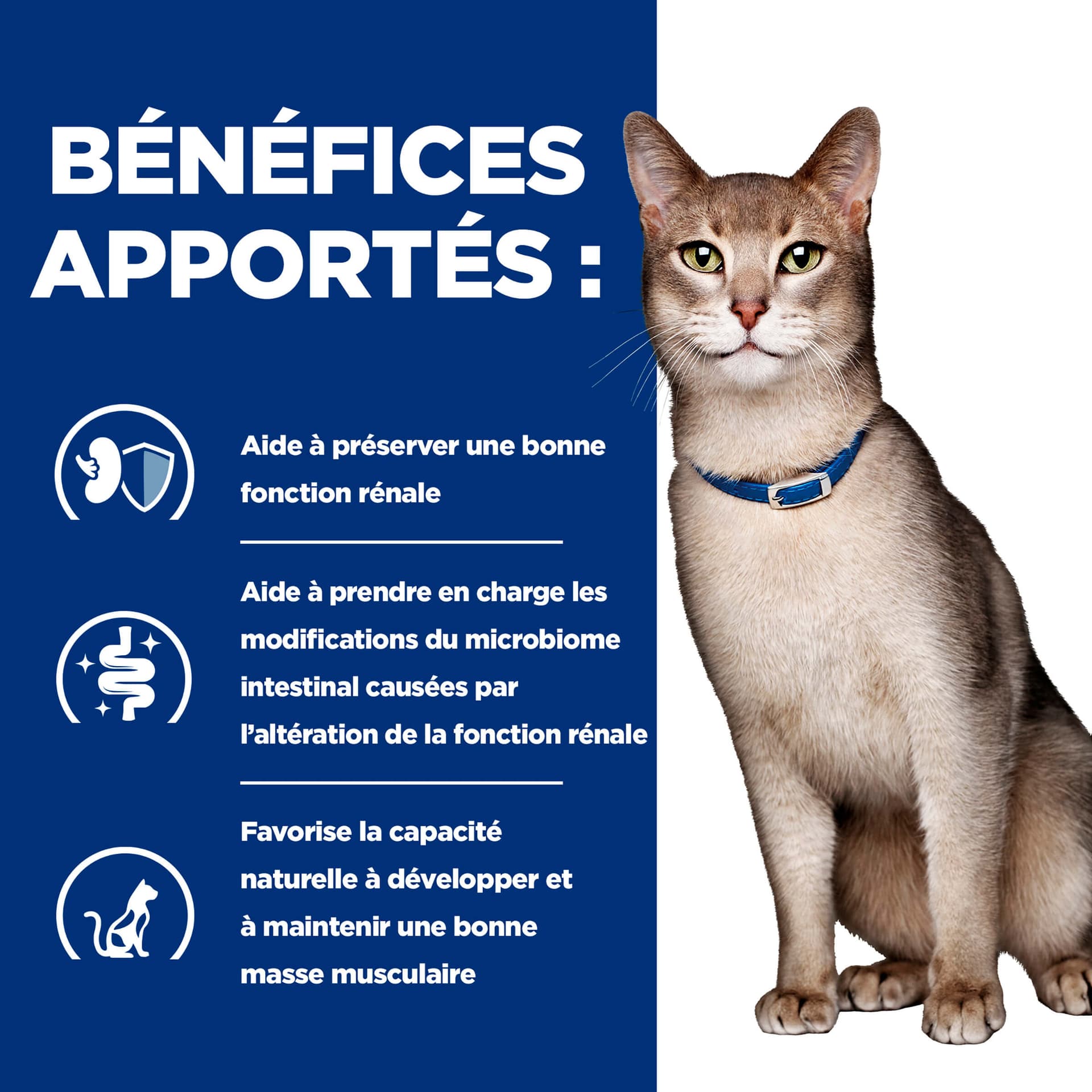 Katze Prescription Diet k/d Renal Health Rind