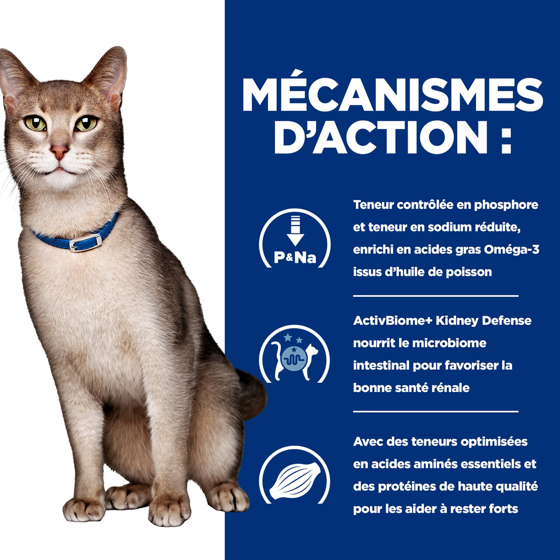 Katze Prescription Diet k/d Renal Health Rind