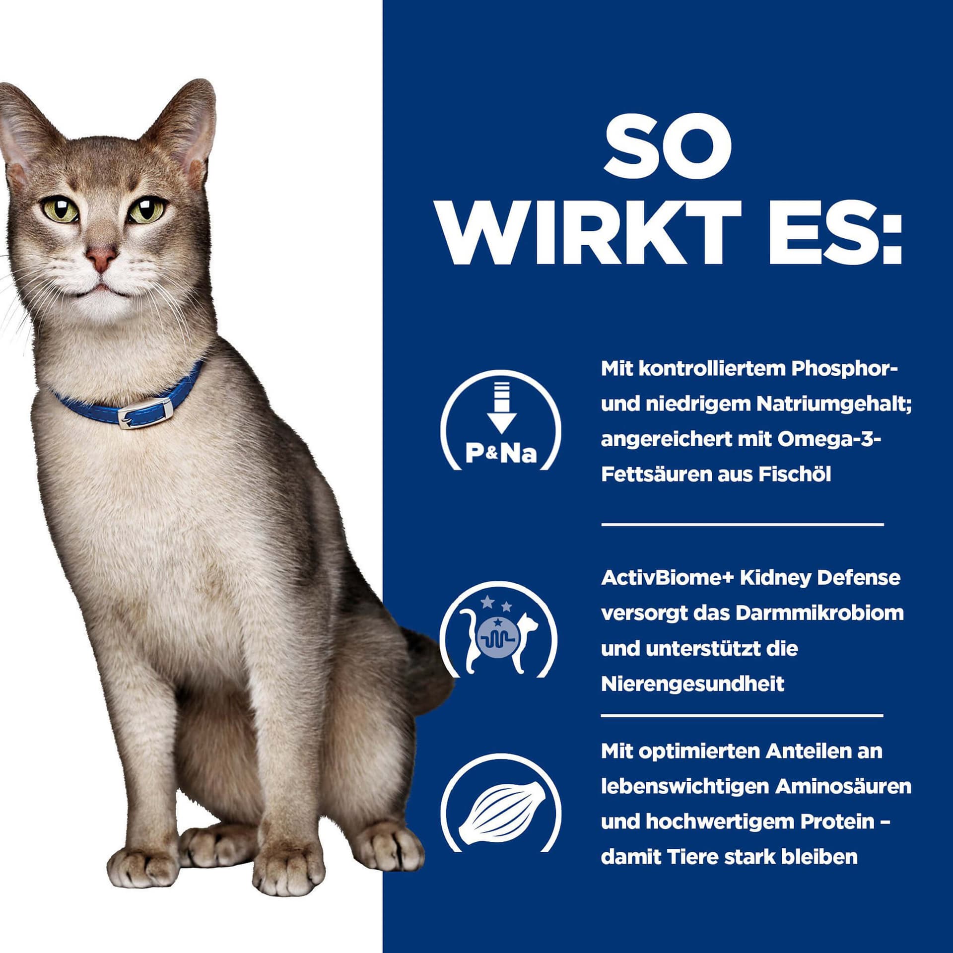 Katze Prescription Diet k/d Renal Health Rind
