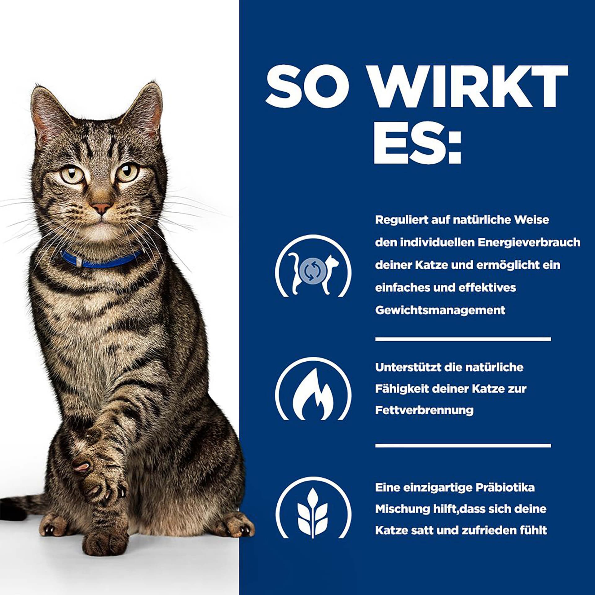 Katze PD Metabolic mit Lachs