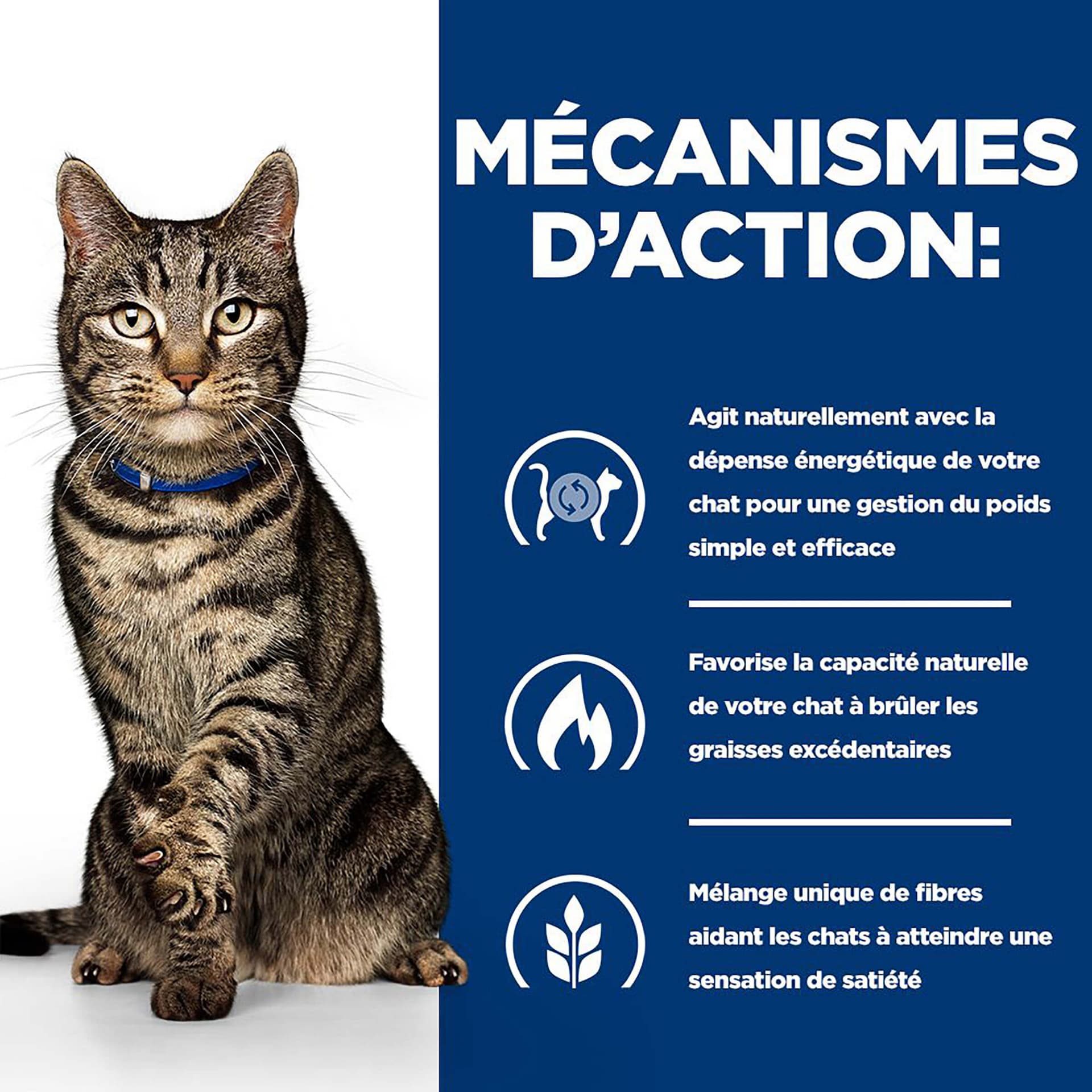 Katze PD Metabolic mit Lachs
