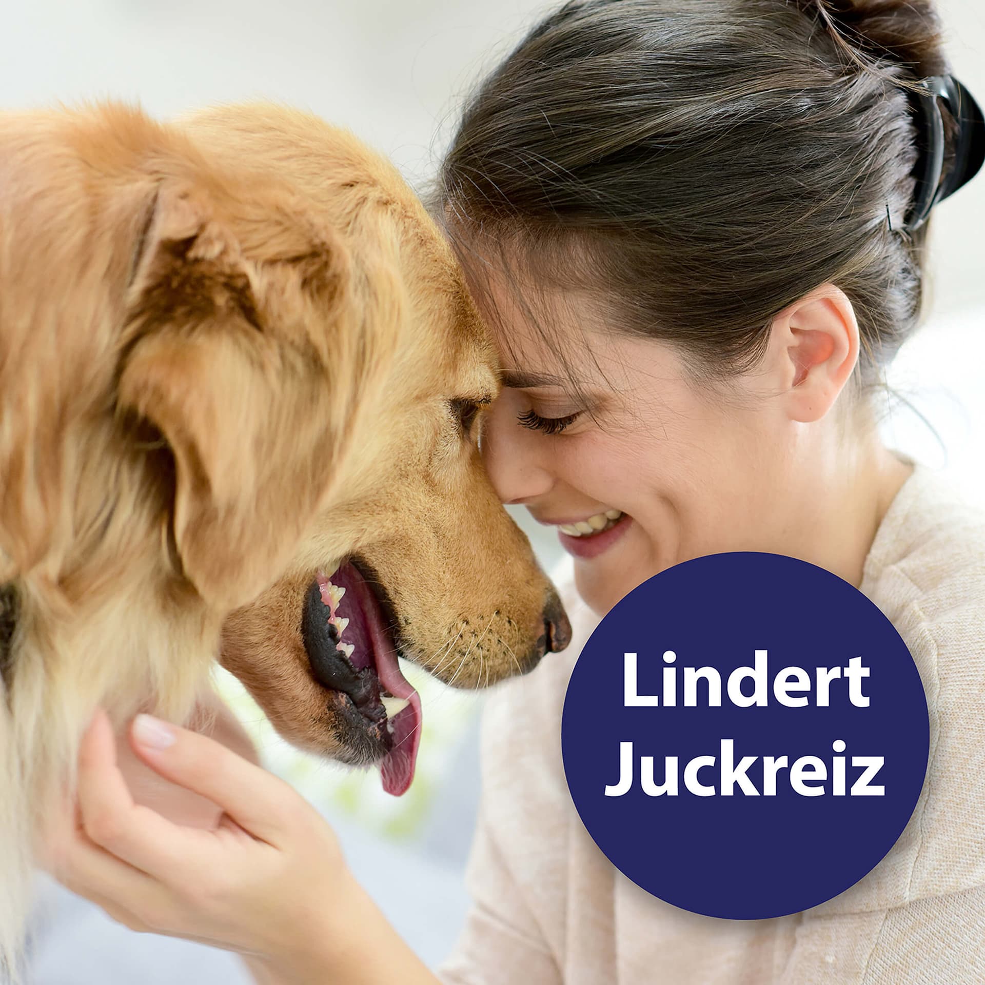 Ohrreiniger Hund