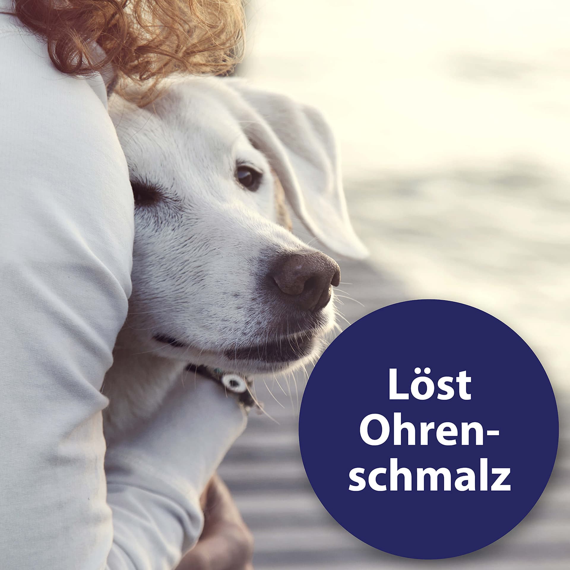 Ohrreiniger Hund
