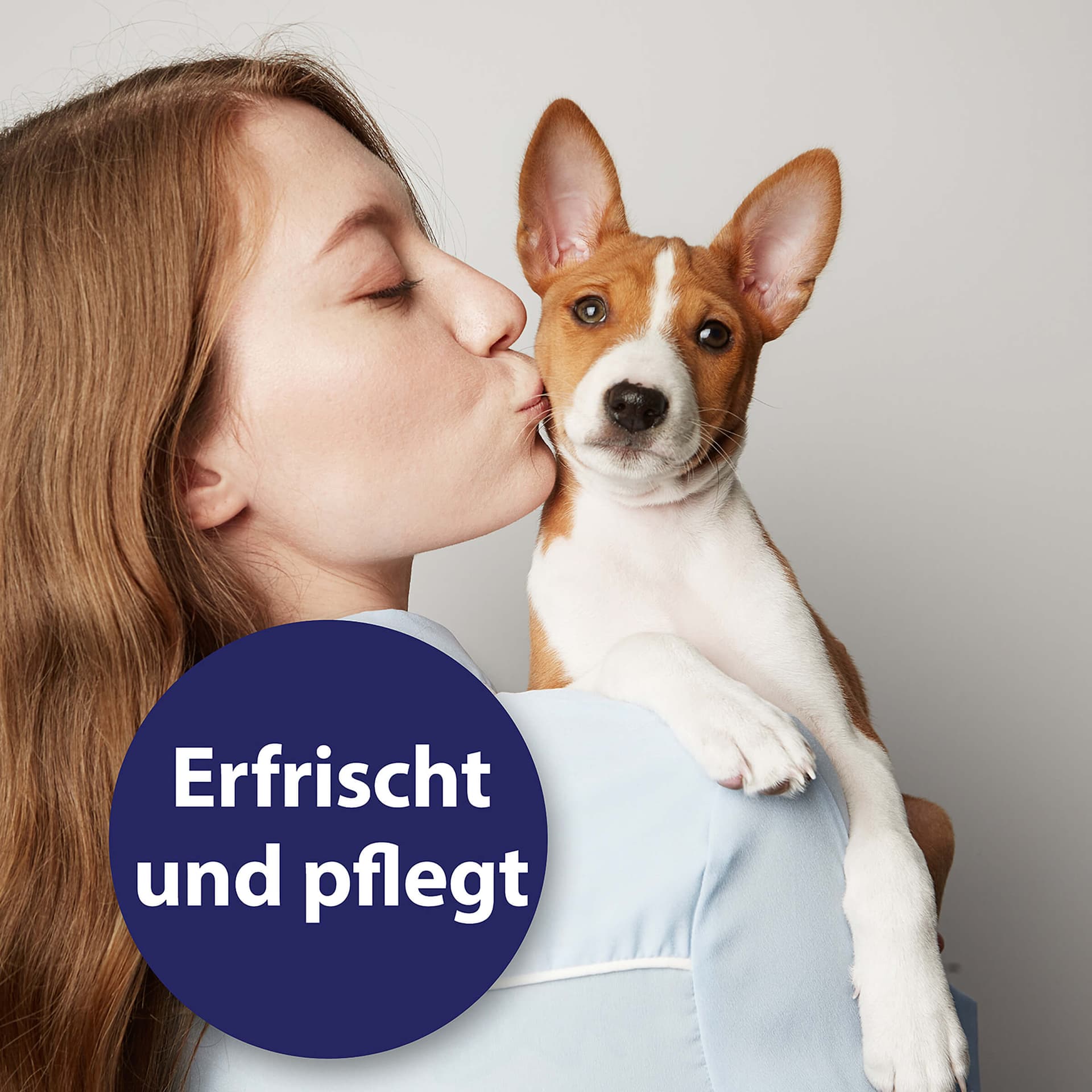 Ohrreiniger Hund