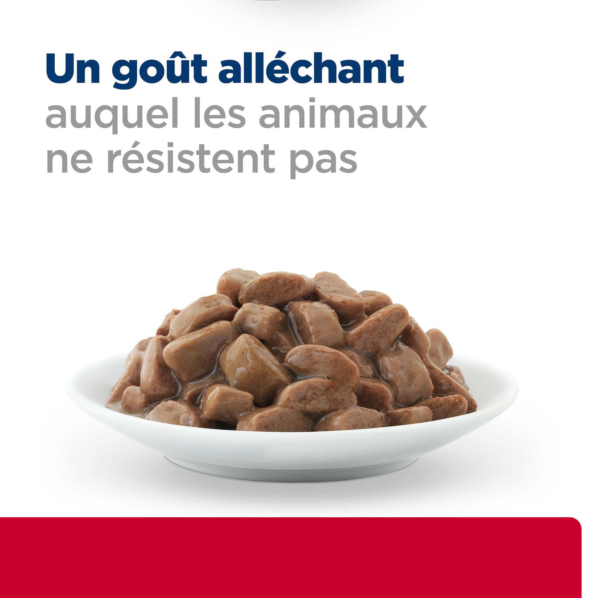 Katze Prescription Diet c/d Urinary & Metabolic Huhn