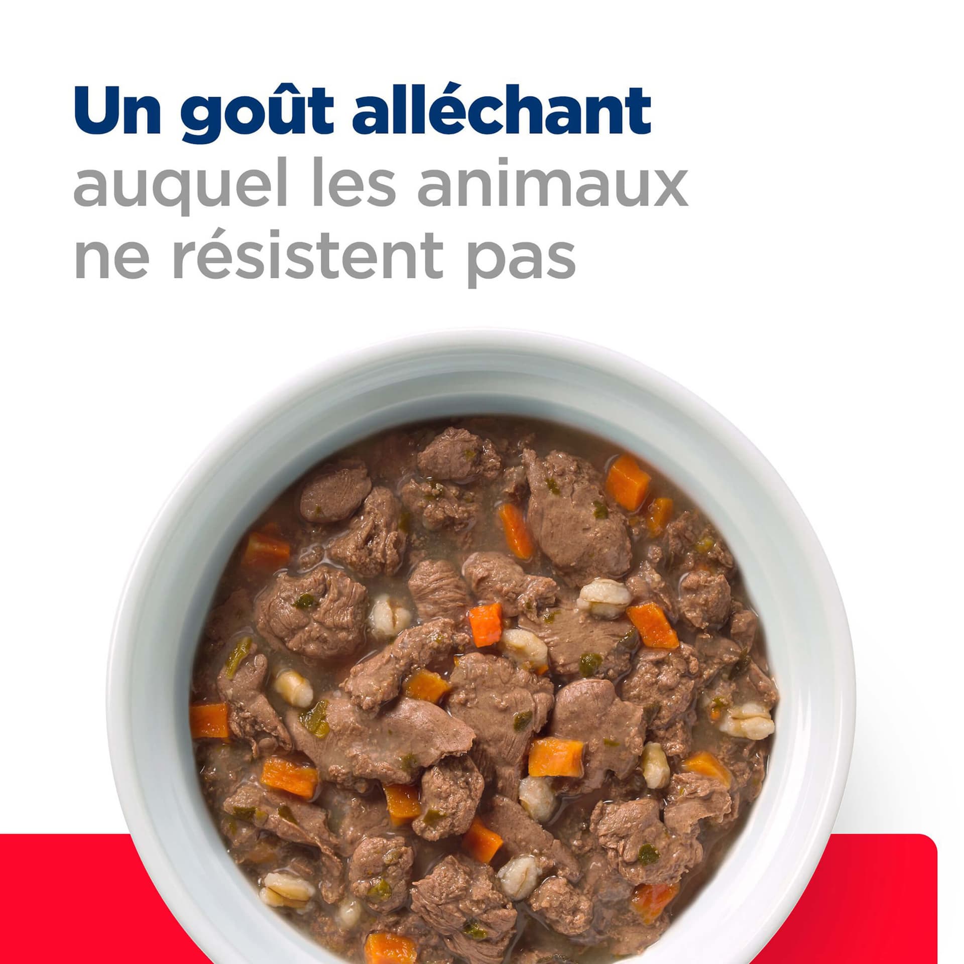 Katze Prescription Diet GB Stress
