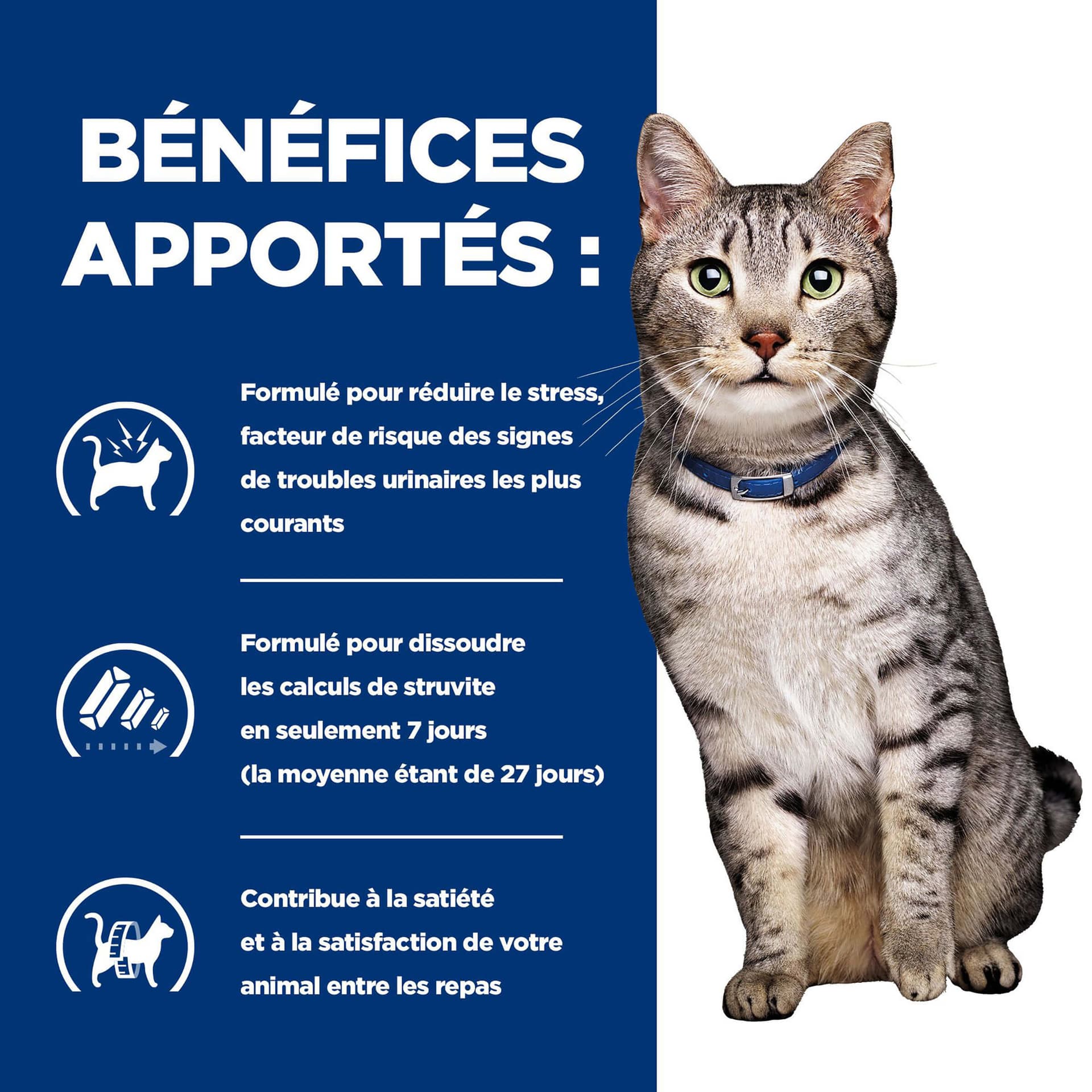 Katze Prescription Diet c/d Urinary & Metabolic Huhn