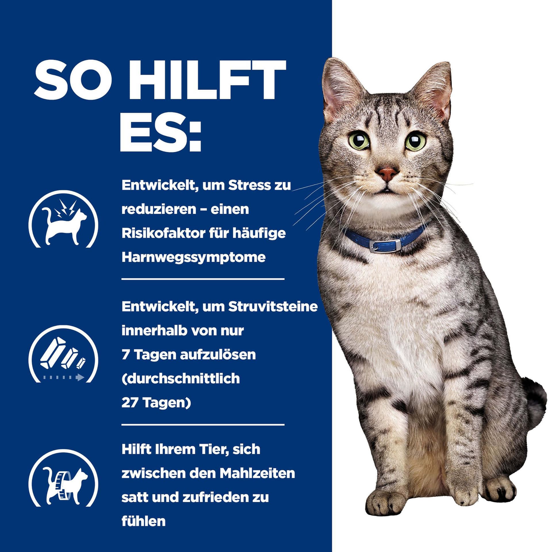Katze Prescription Diet c/d Urinary & Metabolic Huhn
