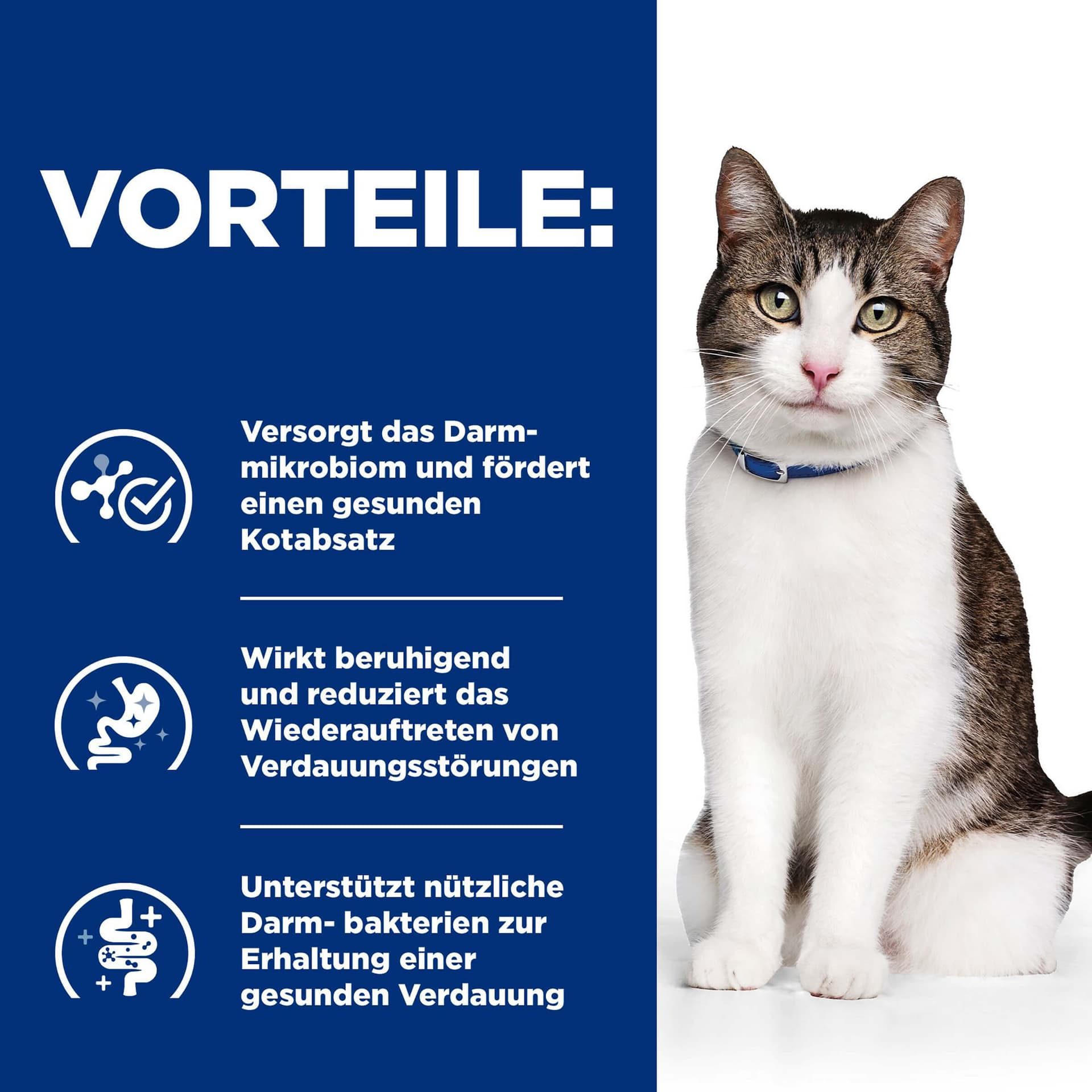 Katze Prescription Diet GB Stress