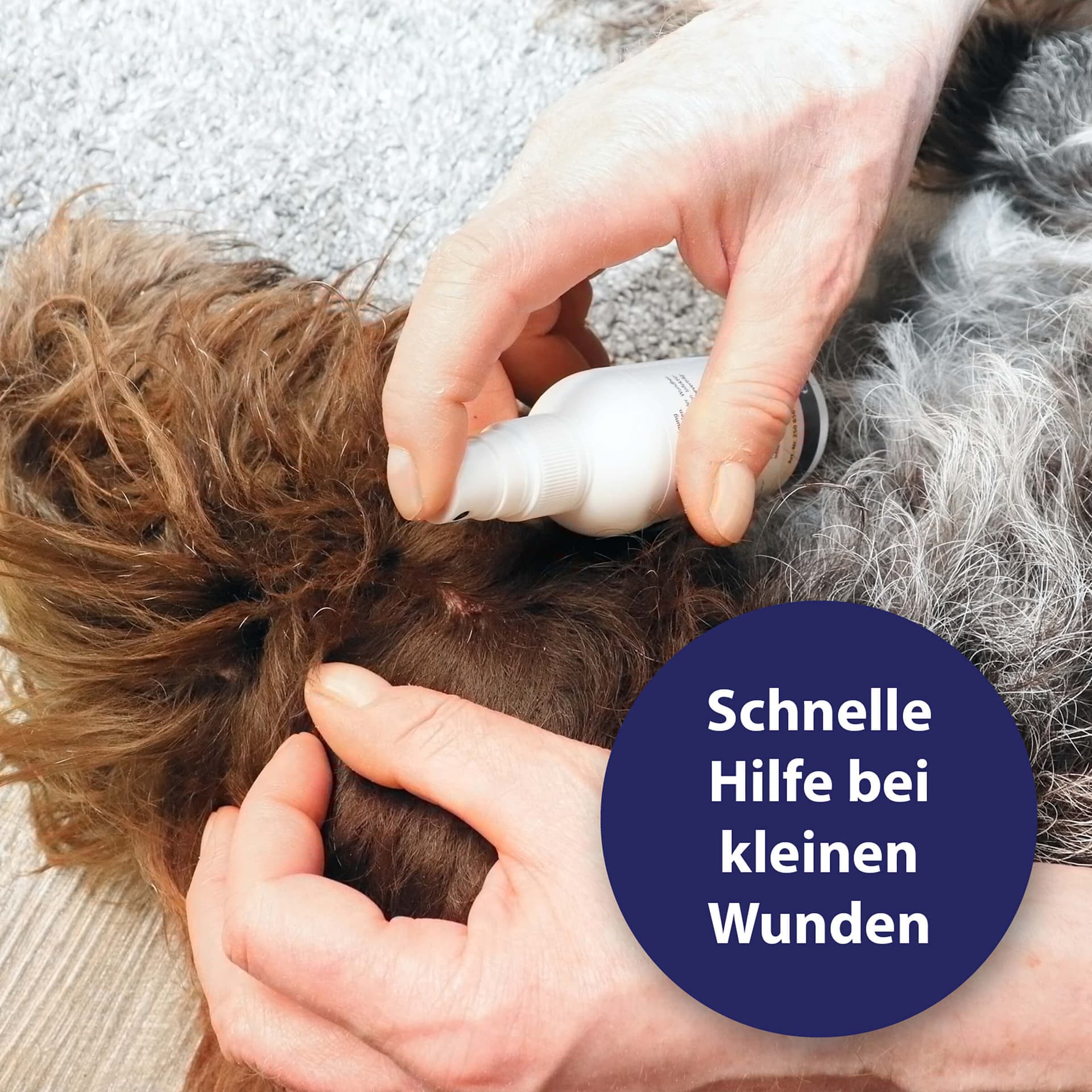 Wundspray