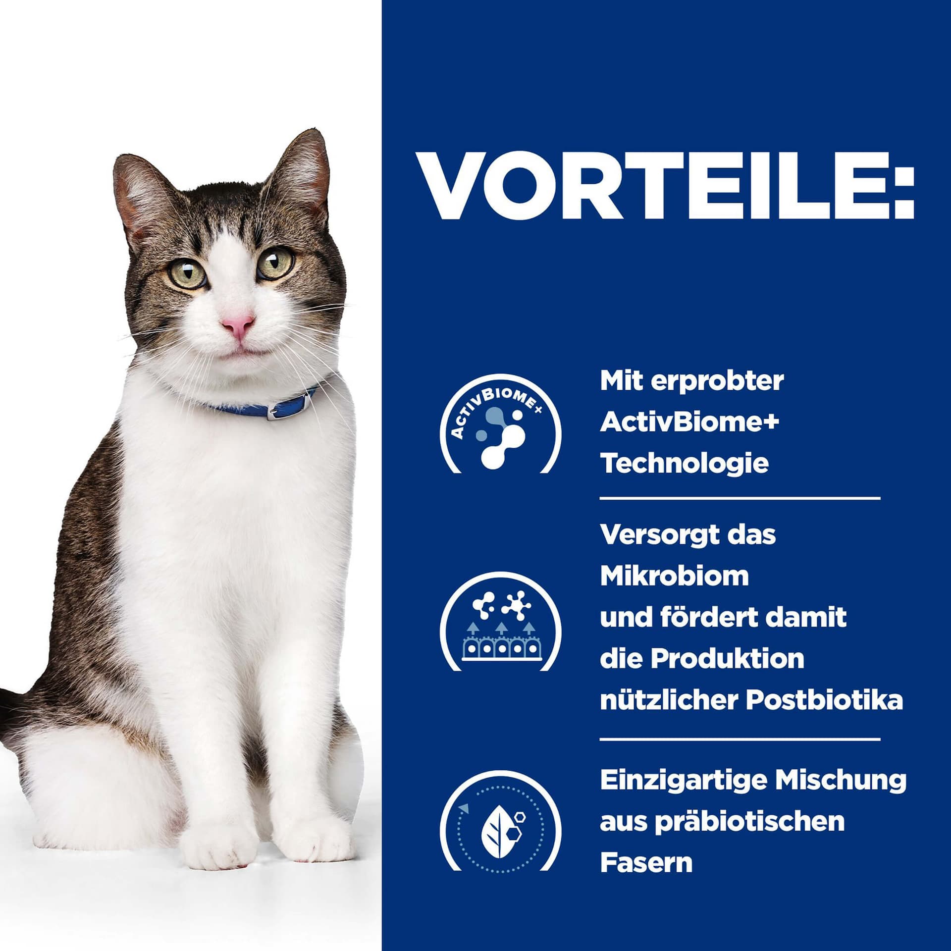 Katze Prescription Diet GB Stress
