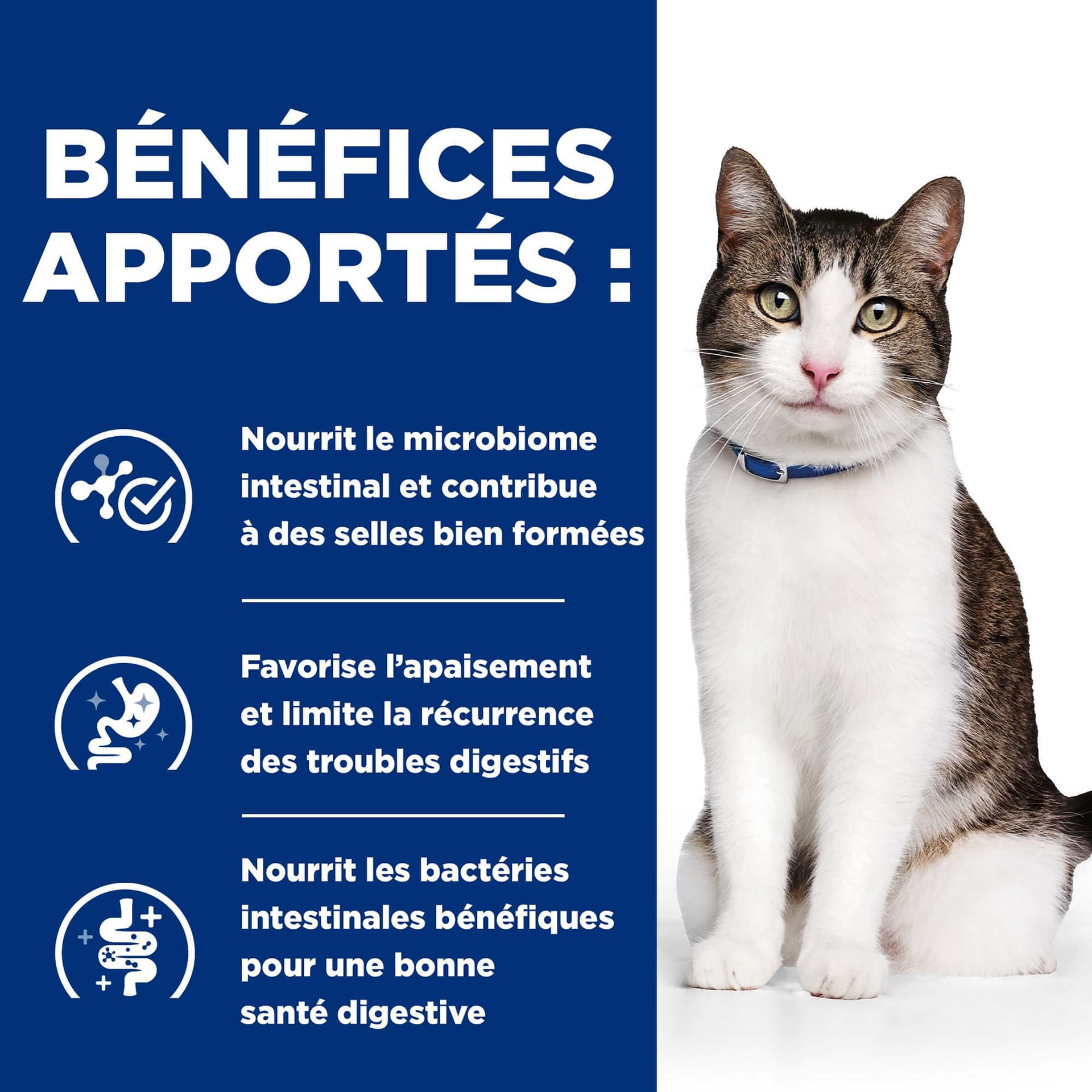 Katze Prescription Diet GB Stress