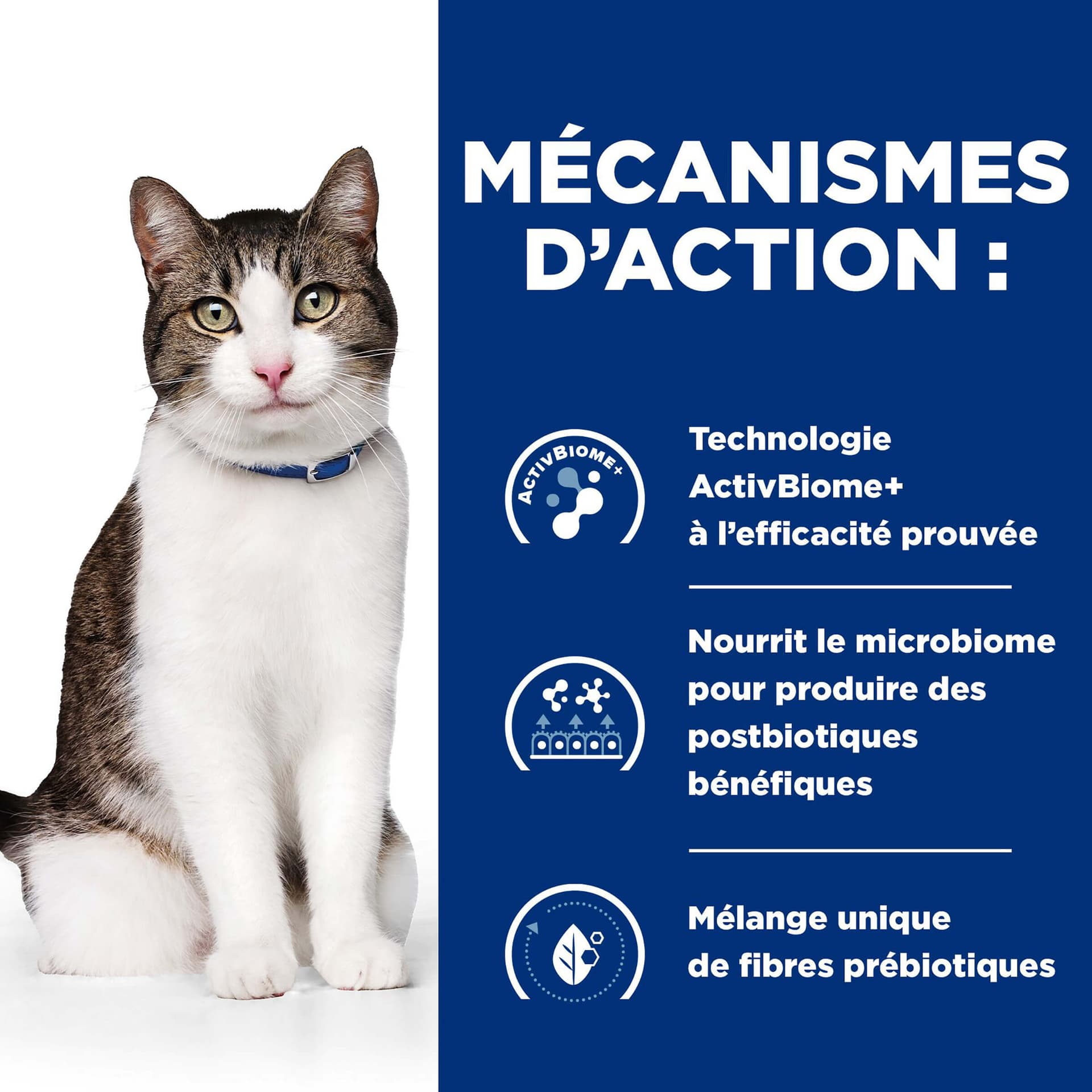 Katze Prescription Diet GB Stress