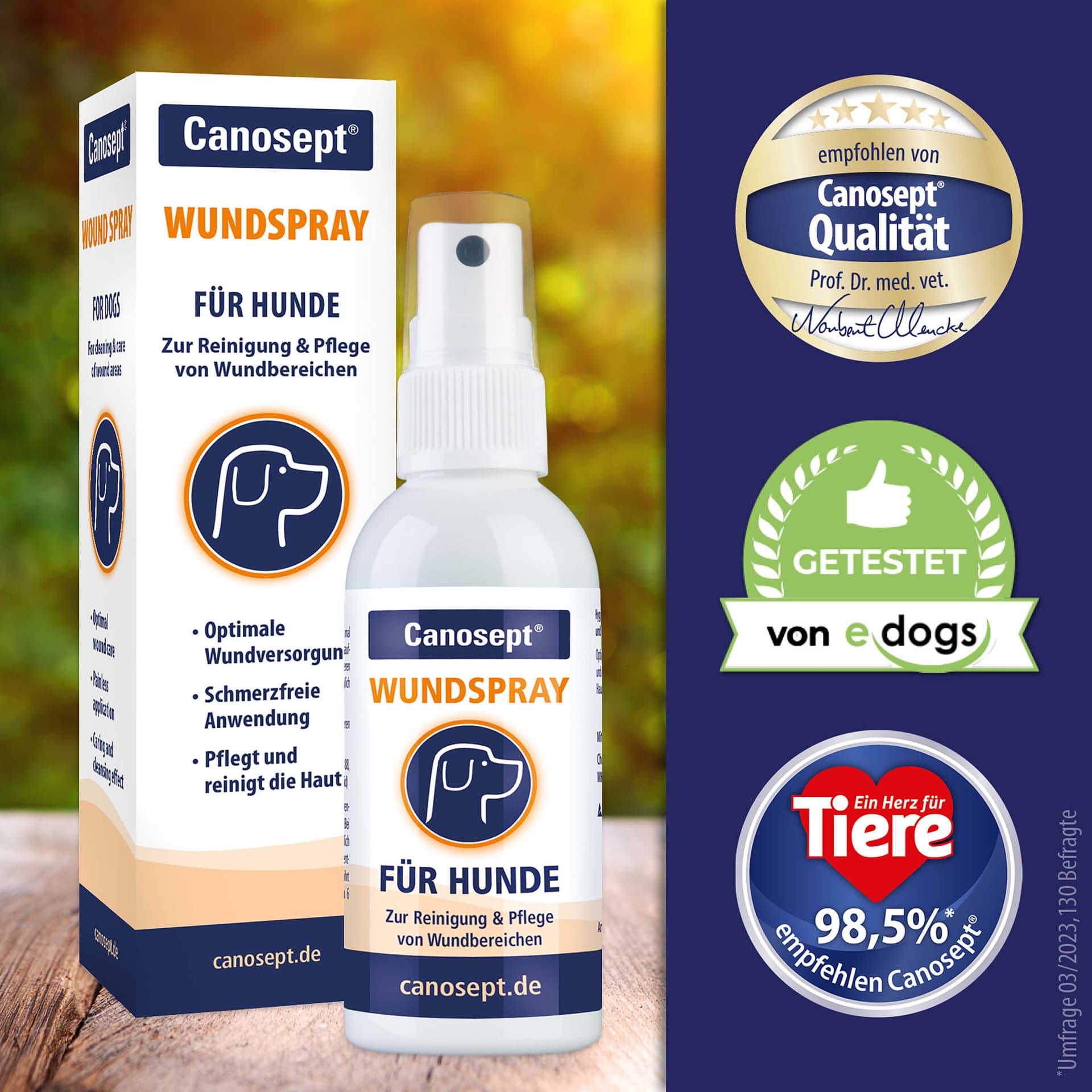 Wundspray