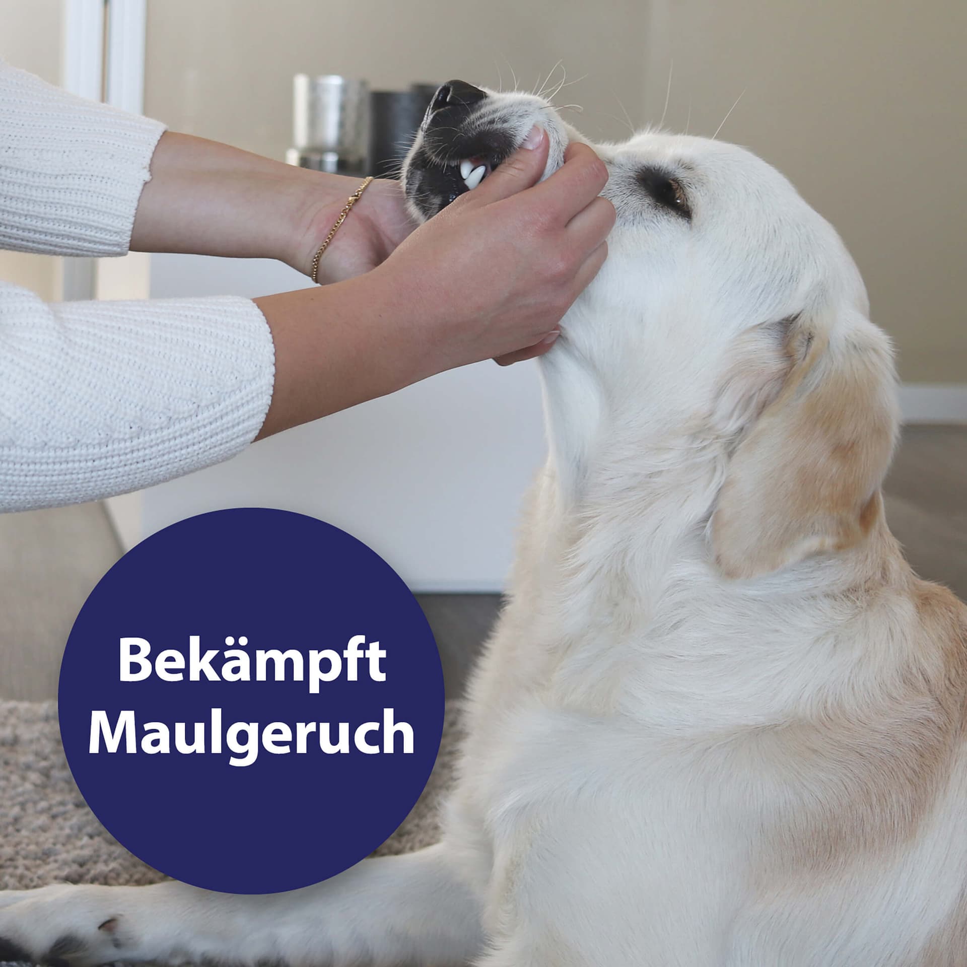 Zahnpflege Hund - Zahnpflegespray für das Hundegebiss