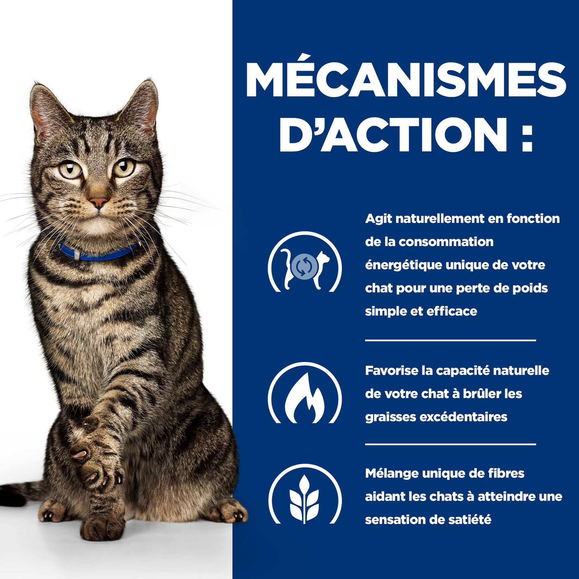 Katze Prescription Diet Metabolic Huhn im Beutel