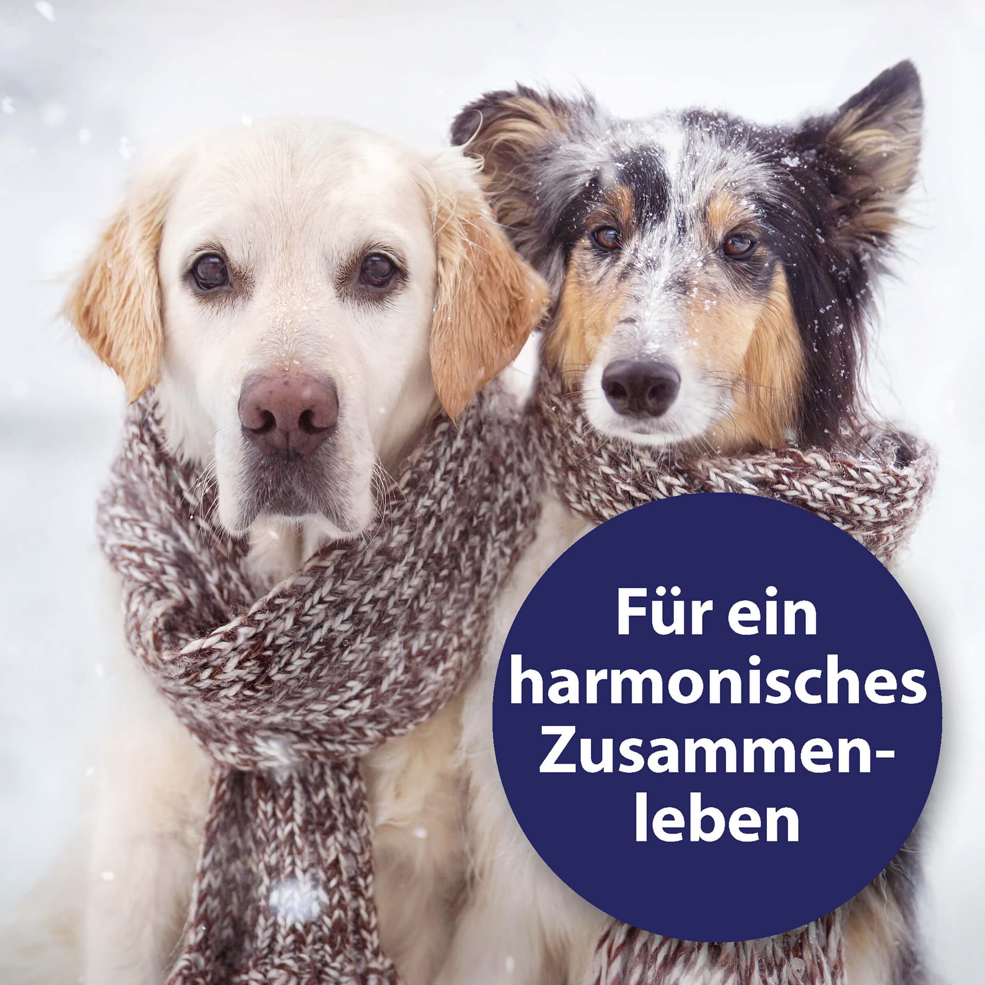 Home Comfort Beruhigungshalsband Hund