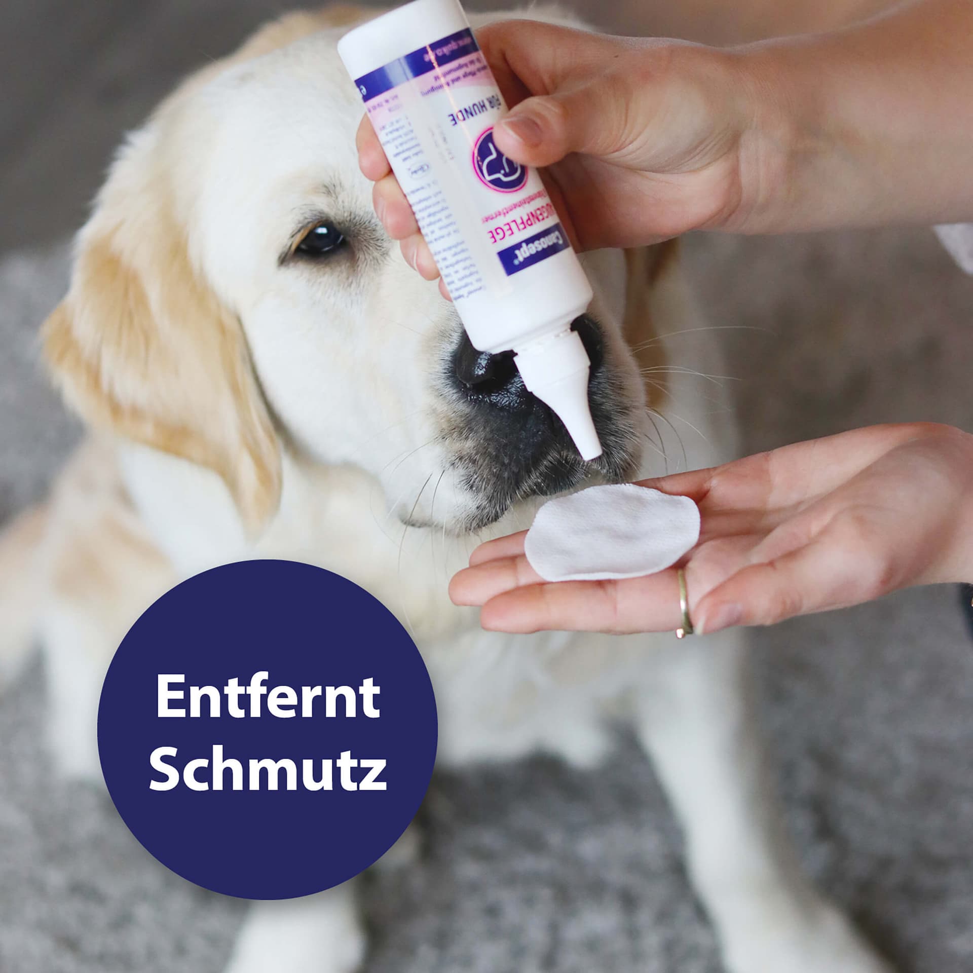 Augenpflege Pads für Hunde