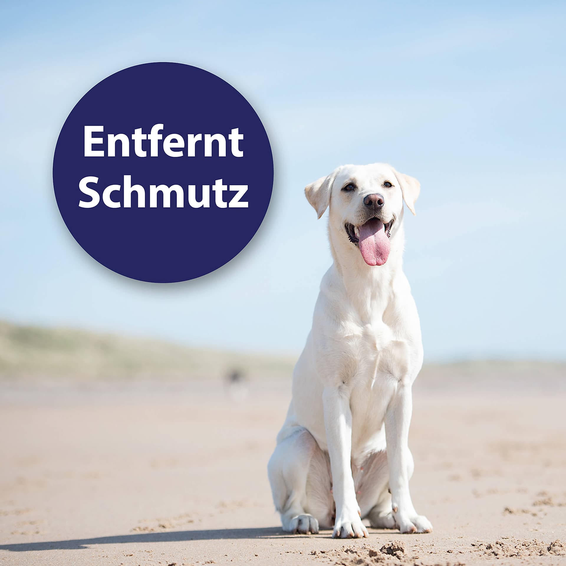 Ohrpflege Finger-Pads für Hunde