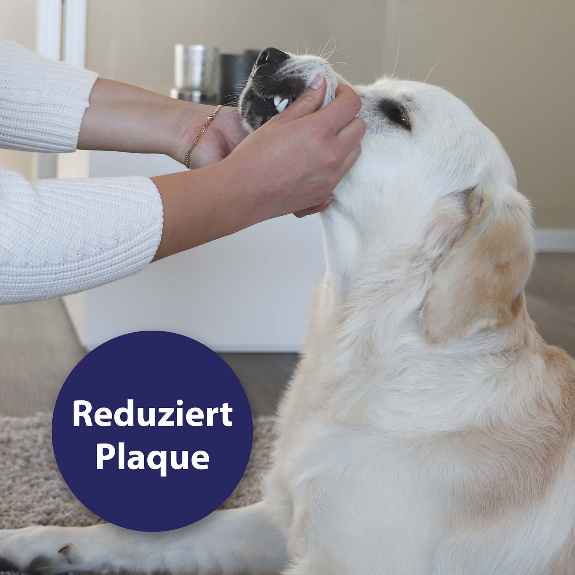 Zahnpflege Pads für Hunde