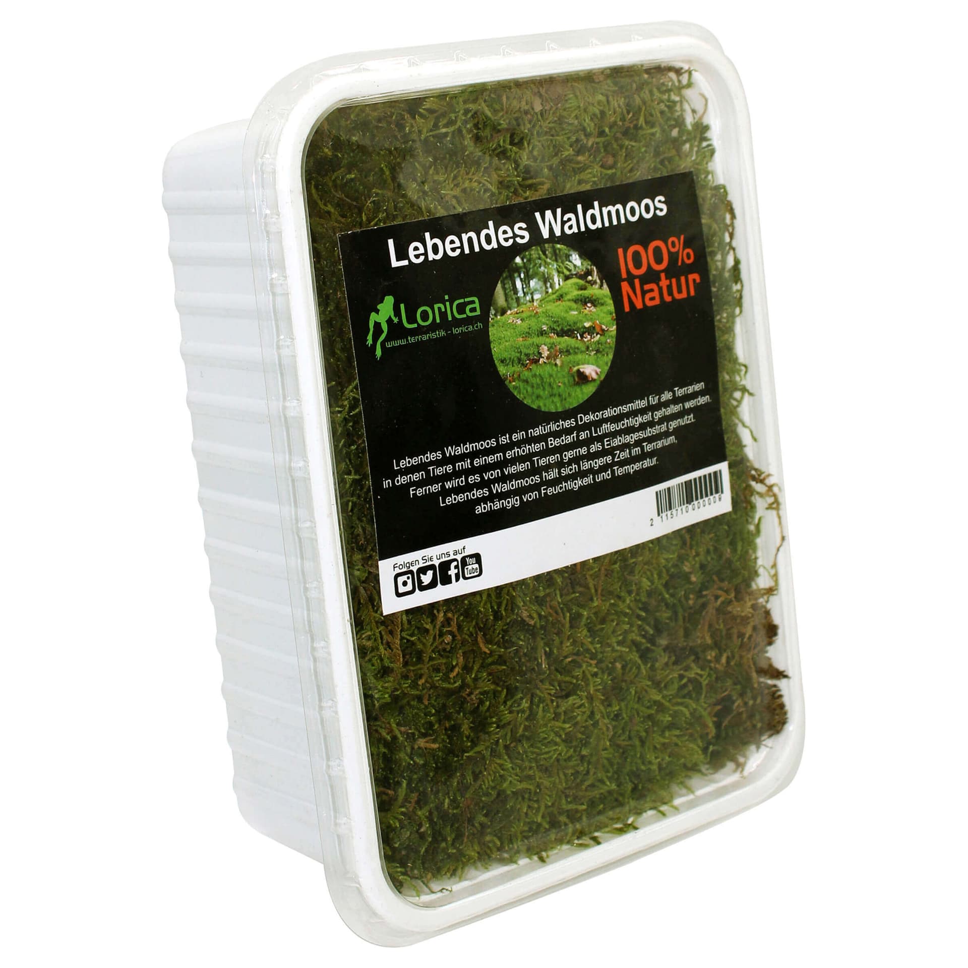Lebendes Waldmoos