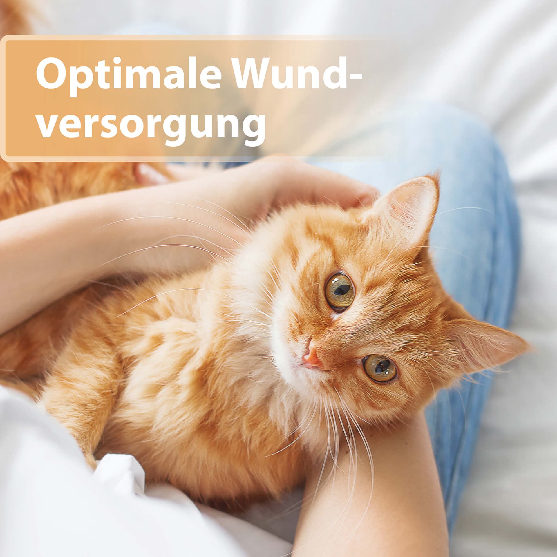 Wundgel