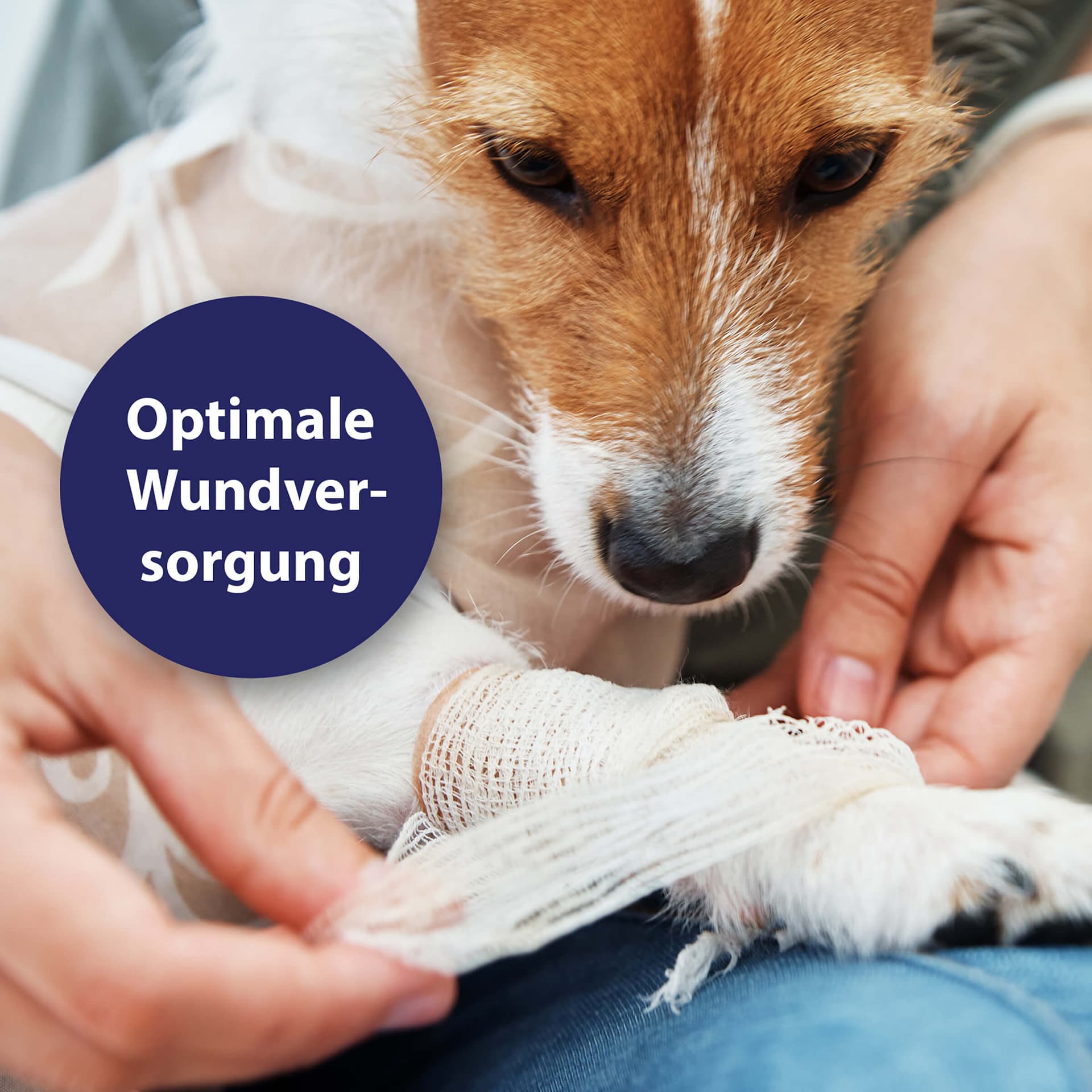 Wundgel