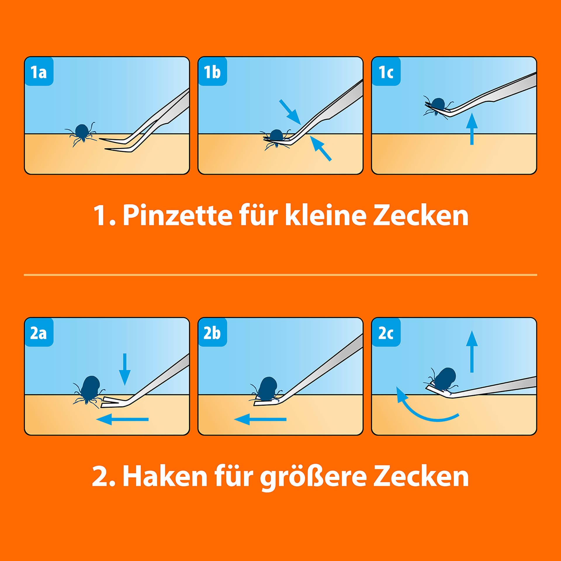 Zeckenhaken mit Pinzette Edelstahl