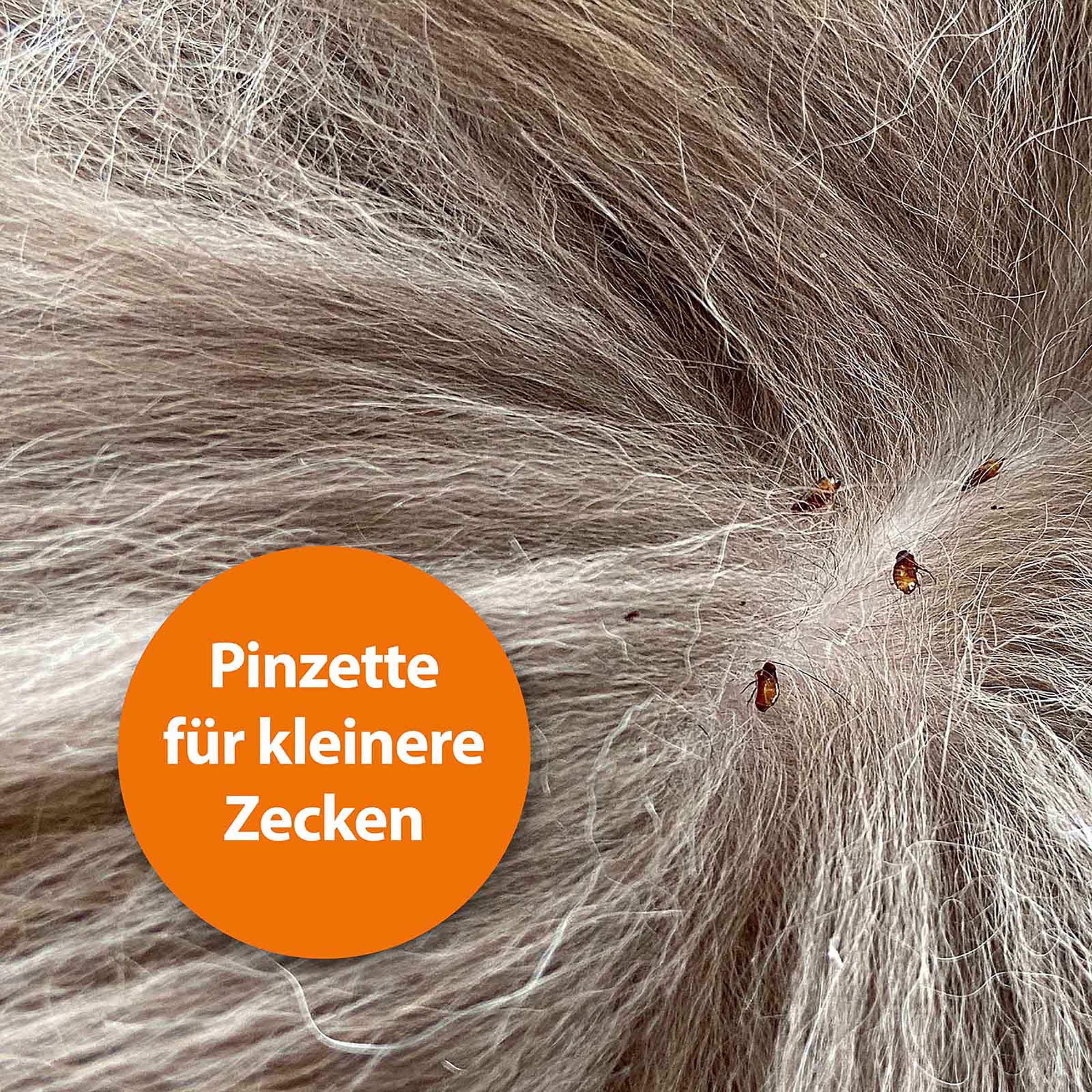Zeckenhaken mit Pinzette Edelstahl