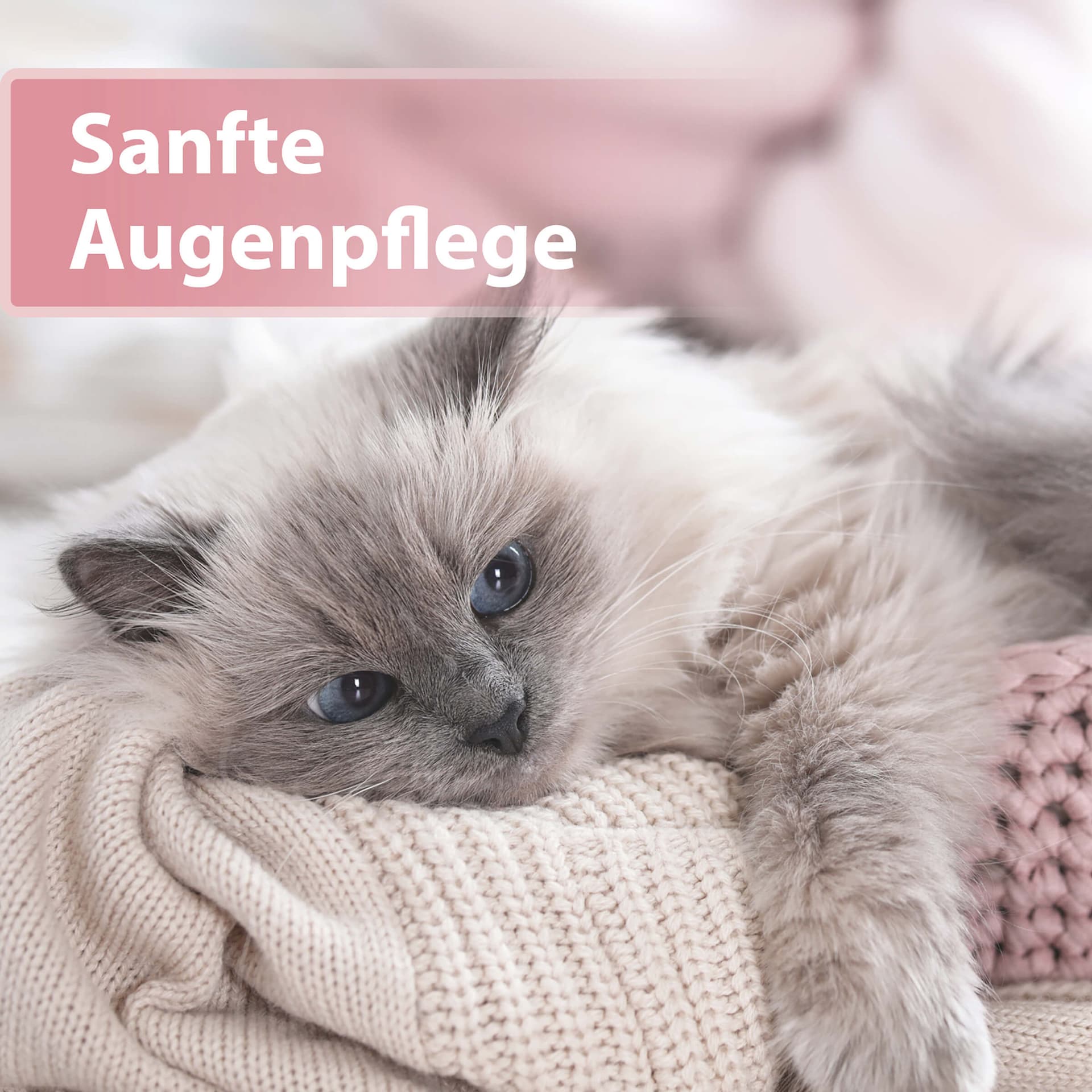 Augenpflege Pads