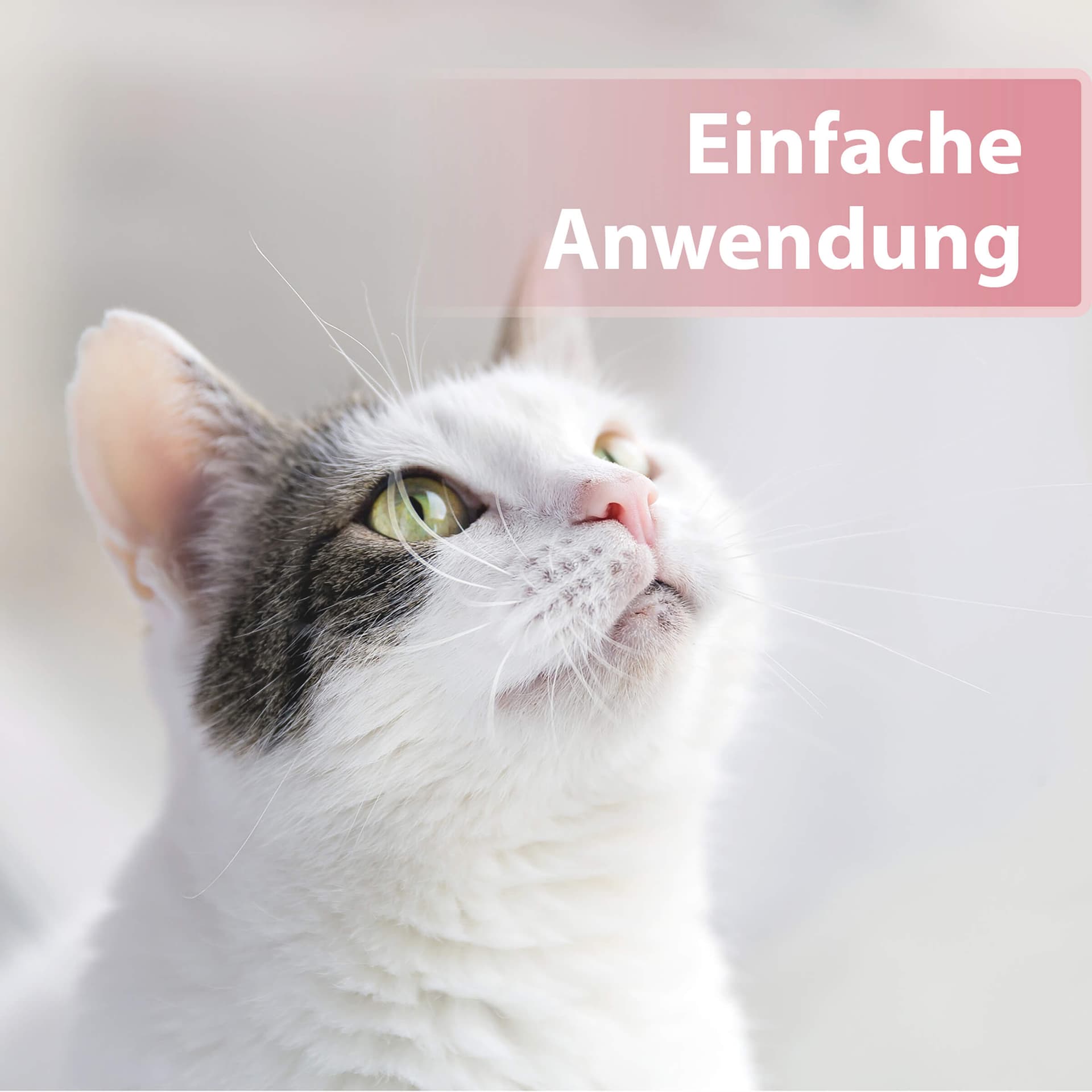 Augenpflege Pads