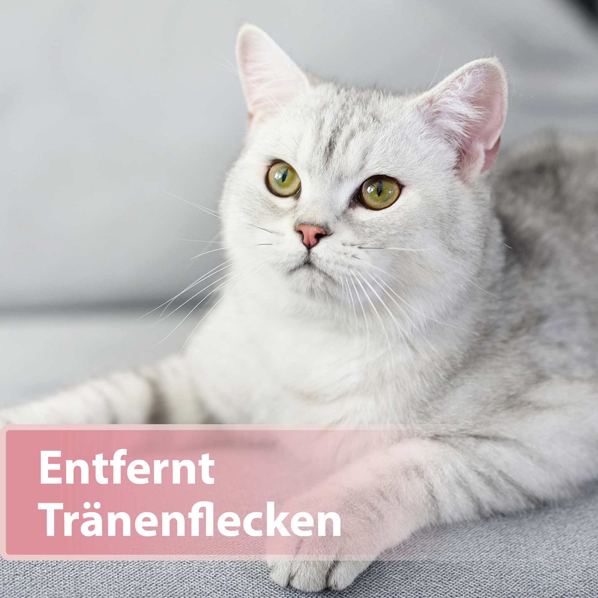 Augenpflege Pads