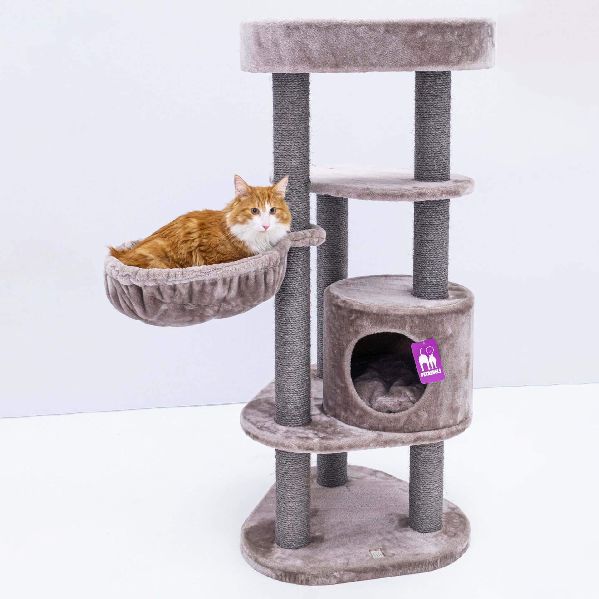 Katzenbaum Kings & Queens Charlotte