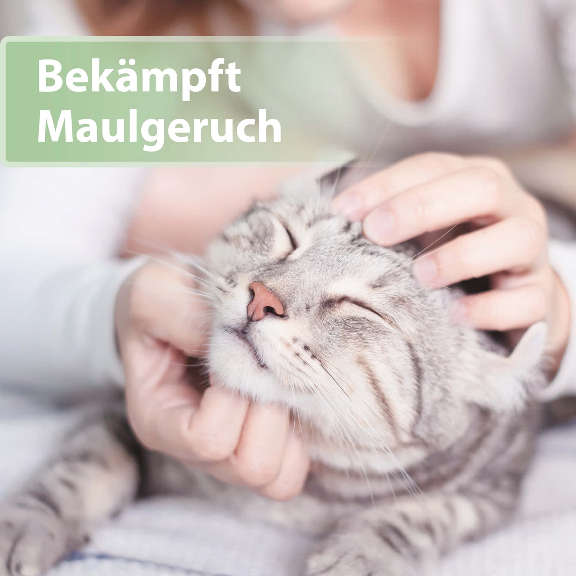 Zahnpflege Finger-Pads