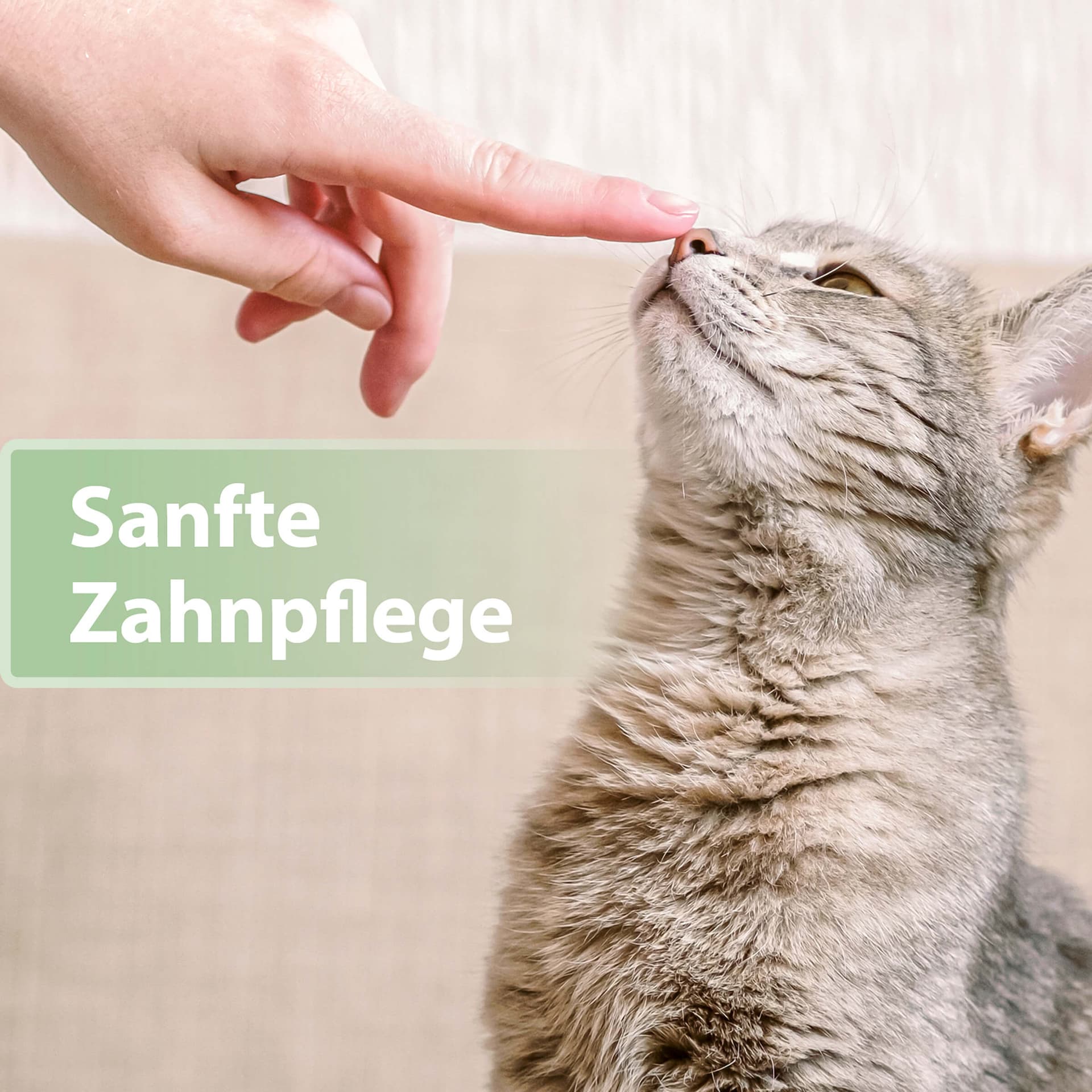 Zahnpflege Finger-Pads