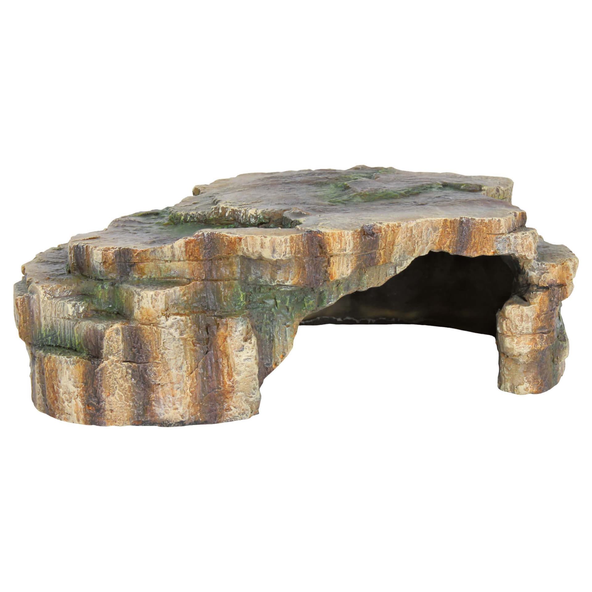 Reptilienhöhle