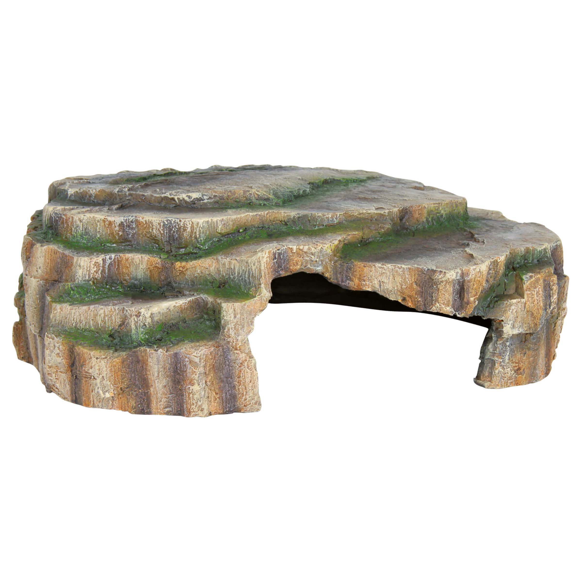 Reptilienhöhle
