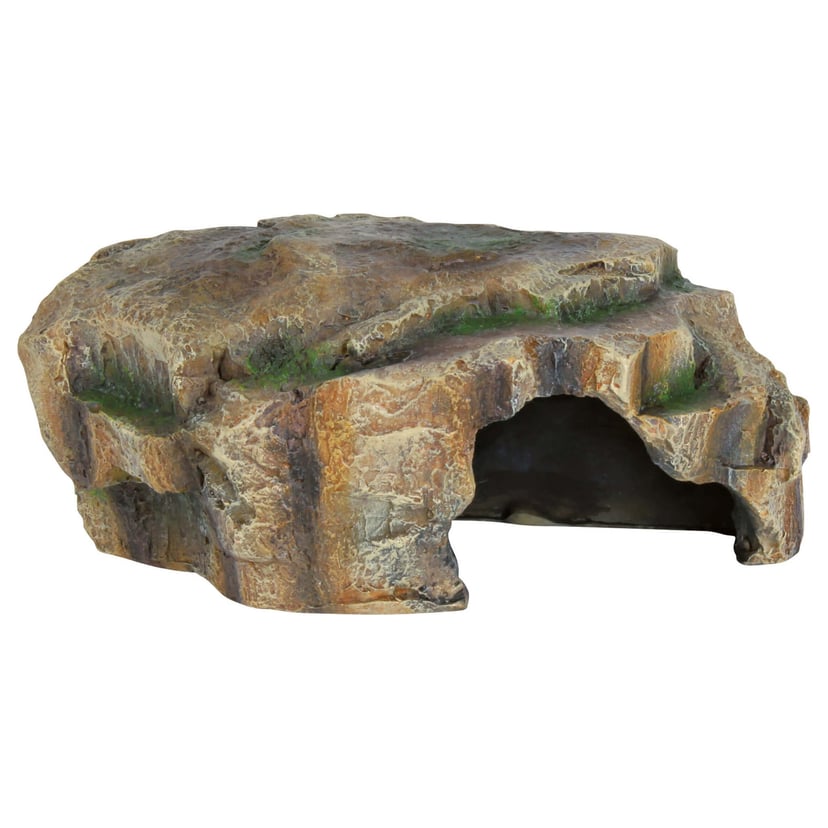 Reptilienhöhle