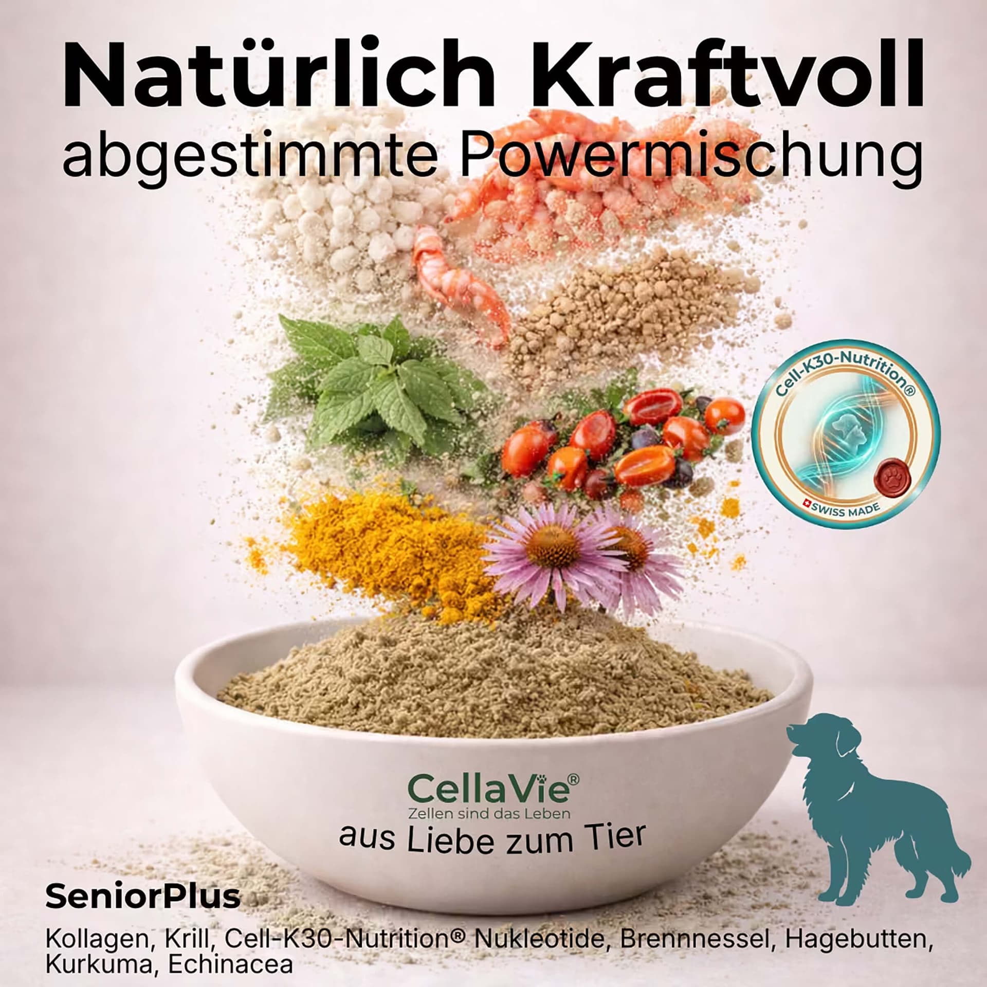 SeniorPlus Pulver für Hunde