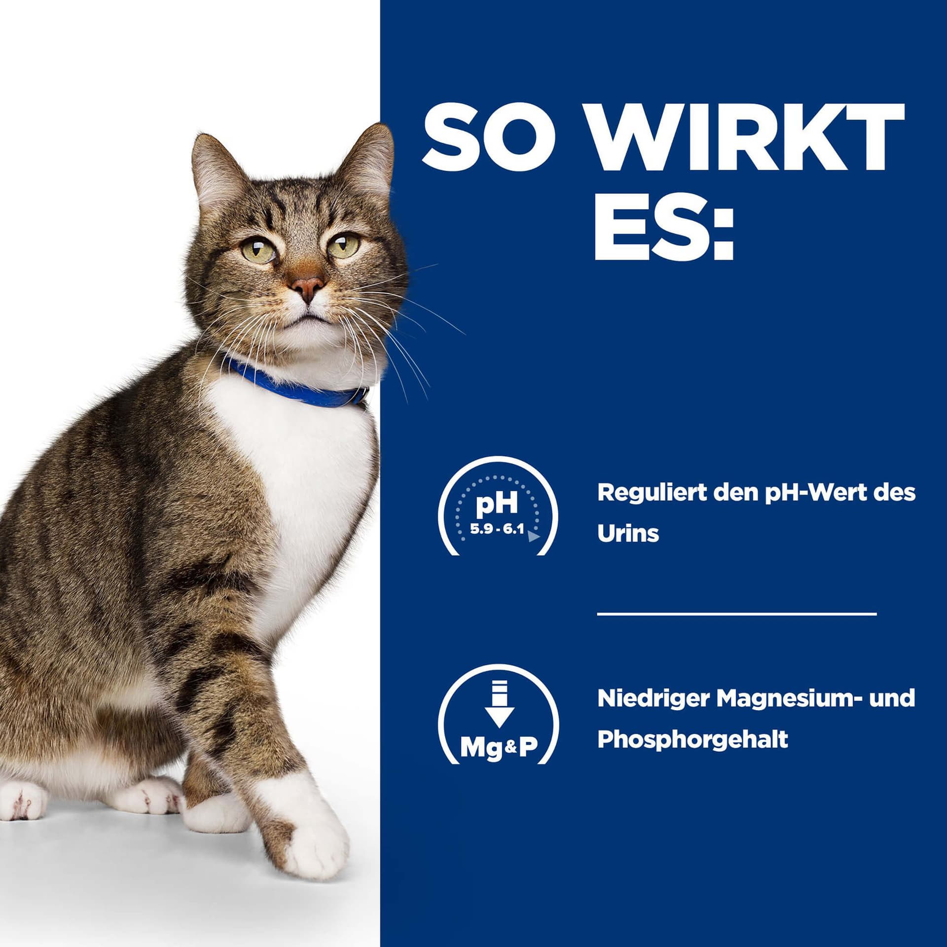 Katze Prescription Diet s/d Urinary Care