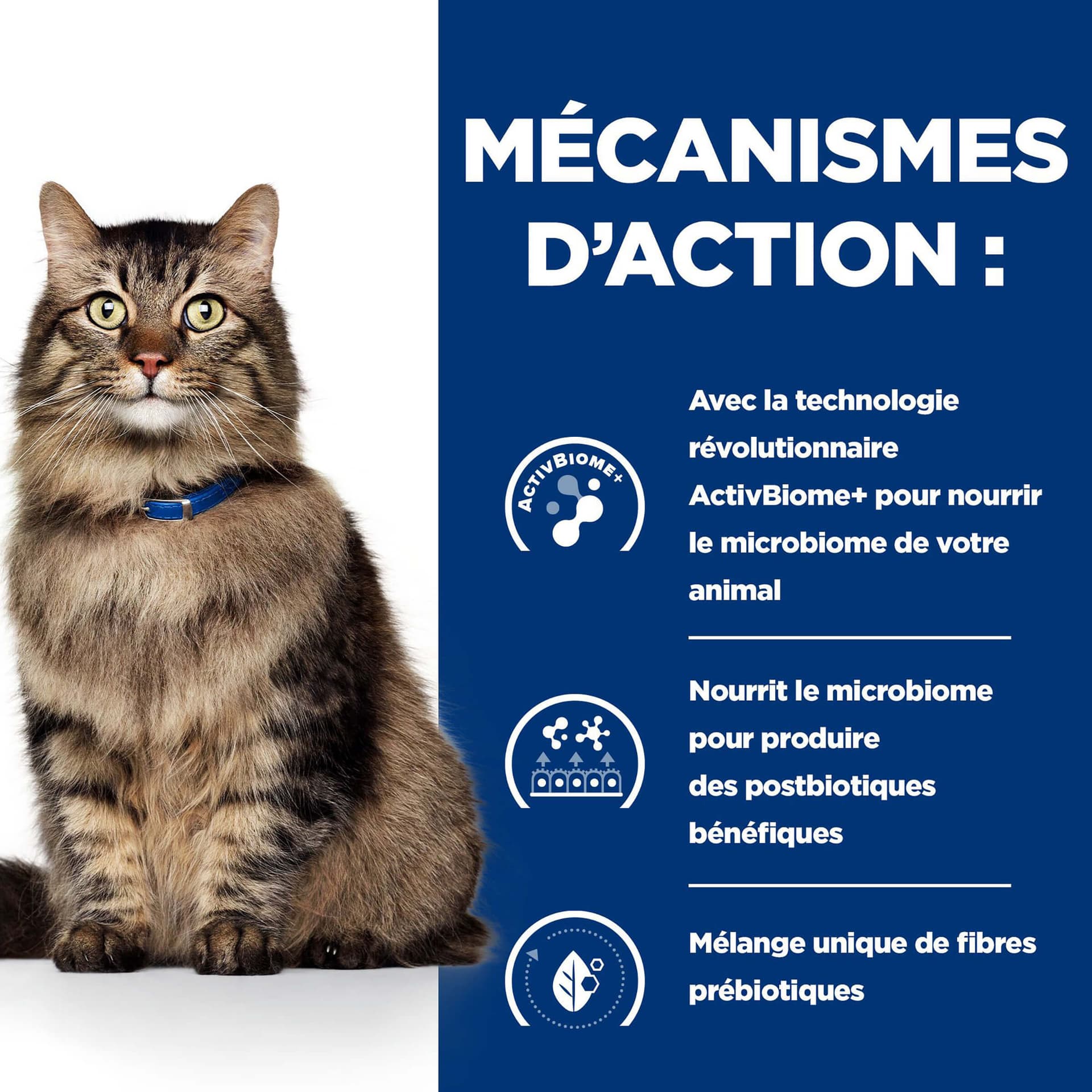 Katze Prescription Diet Gastrointestinal Biome Ragout mit Huhn & Gemüse